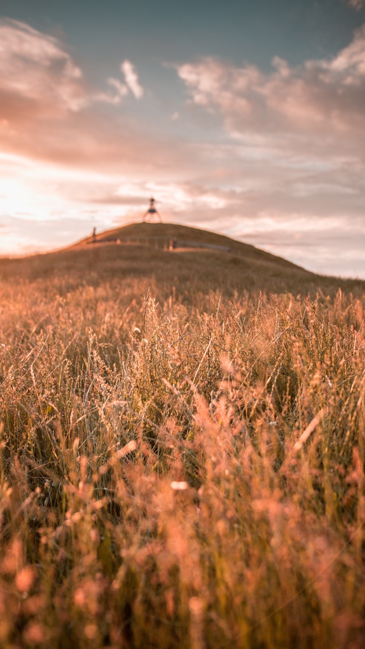 Nature, Prairie, L'heure Dorée, Ciel, Vlog. Wallpaper in 720x1280 Resolution