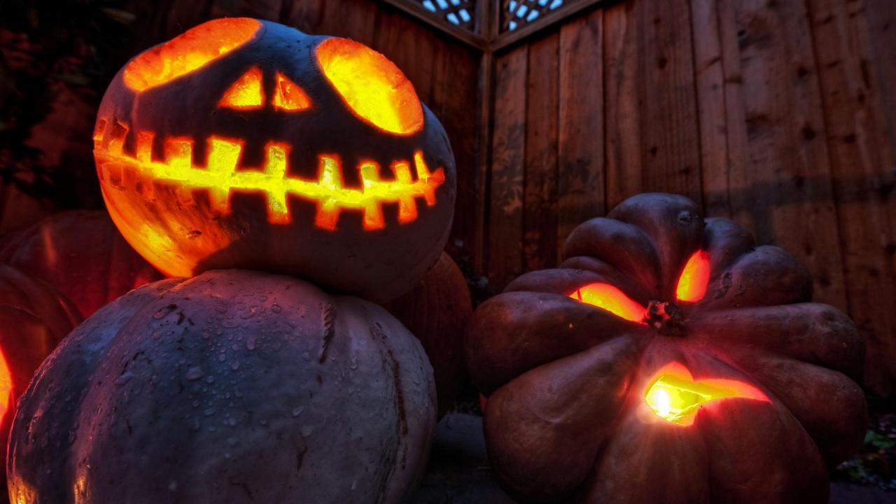 Halloween, Pumpkin, Calabaza, Winter Squash, Cucurbita. Wallpaper in 1280x720 Resolution