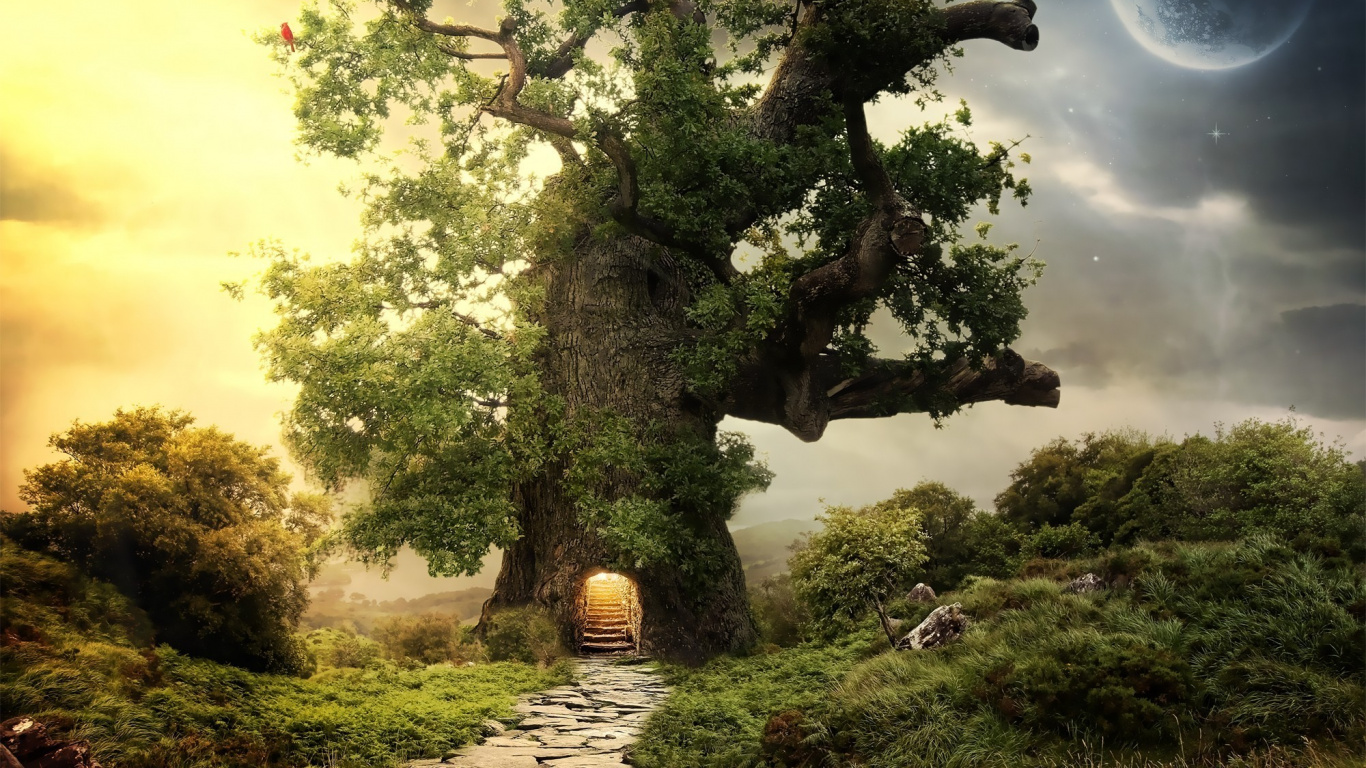 Arbre Vert Sur Terrain D'herbe Verte Pendant la Journée. Wallpaper in 1366x768 Resolution