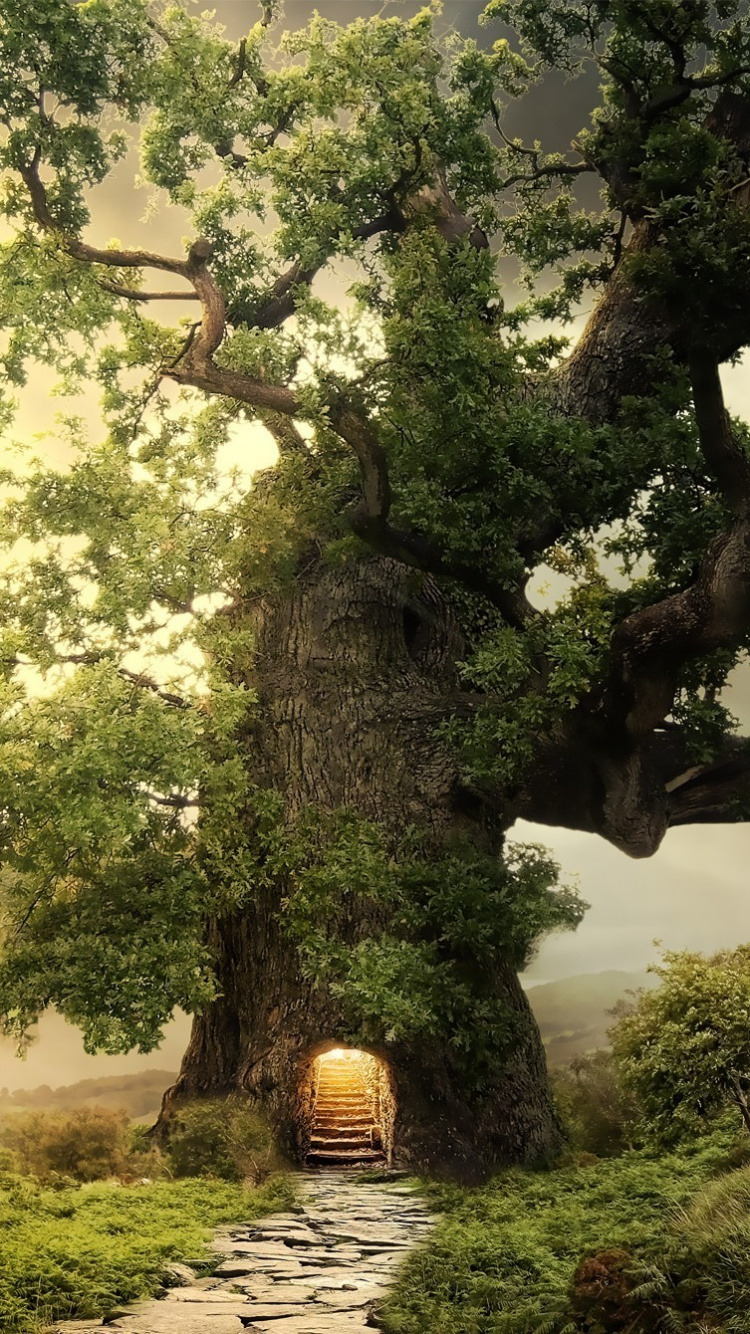 Grüner Baum Auf Grüner Wiese Tagsüber. Wallpaper in 750x1334 Resolution