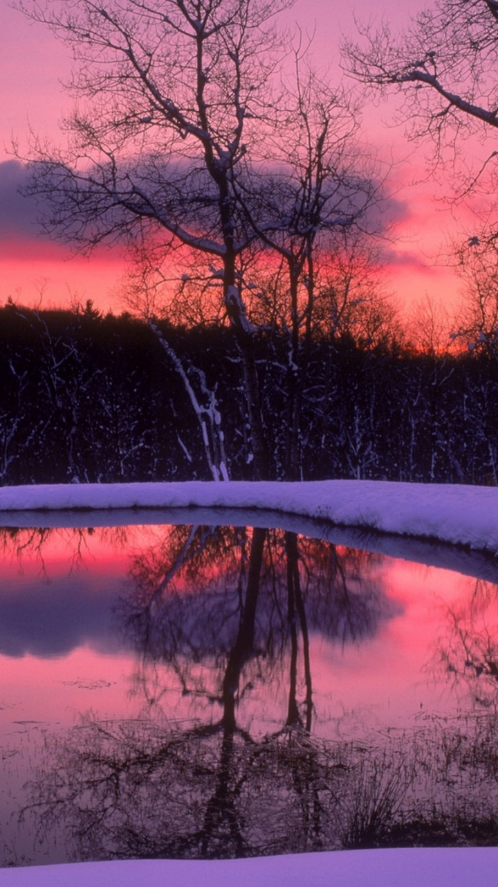 Trees Near River During Sunset. Wallpaper in 720x1280 Resolution