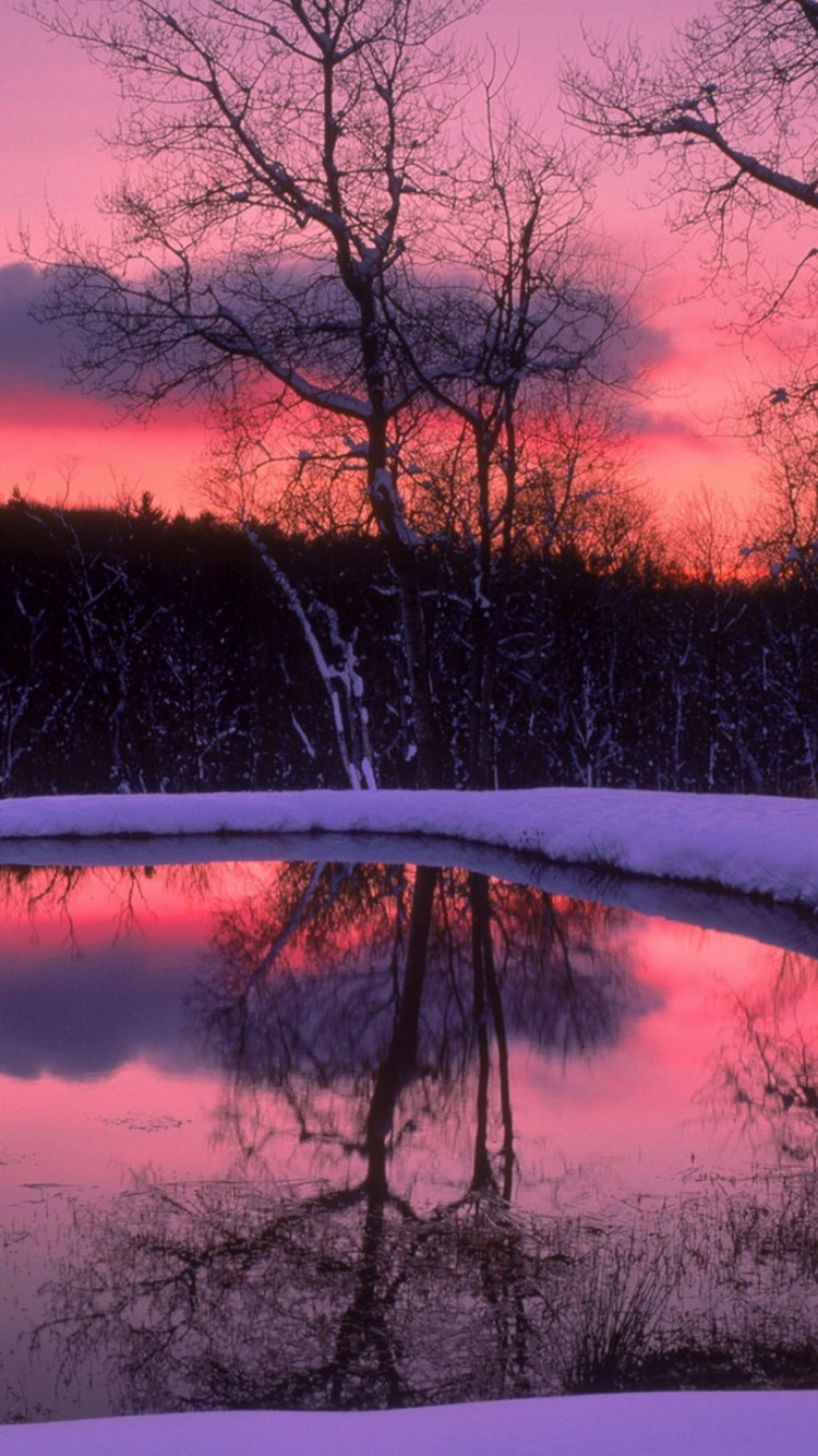 Trees Near River During Sunset. Wallpaper in 750x1334 Resolution