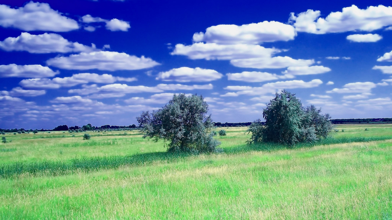 Green Grass Field Under Blue Sky and White Clouds During Daytime. Wallpaper in 1280x720 Resolution