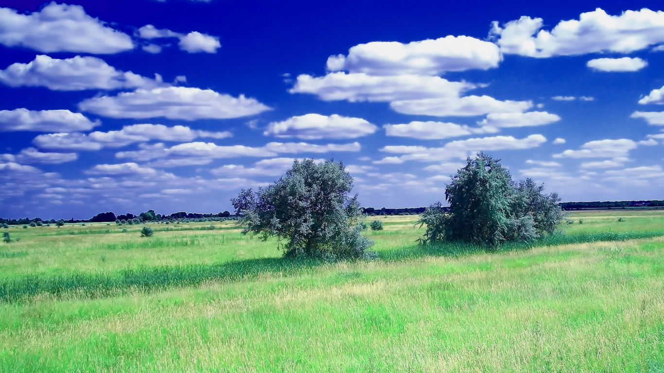 Green Grass Field Under Blue Sky and White Clouds During Daytime. Wallpaper in 1366x768 Resolution