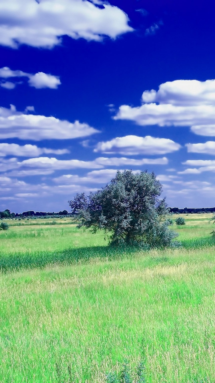Green Grass Field Under Blue Sky and White Clouds During Daytime. Wallpaper in 720x1280 Resolution