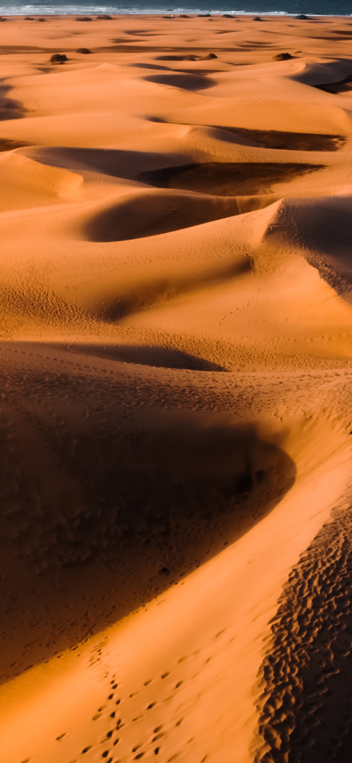 ERG, le Chant de Sable, Brown, L'écorégion, Lumière. Wallpaper in 1125x2436 Resolution