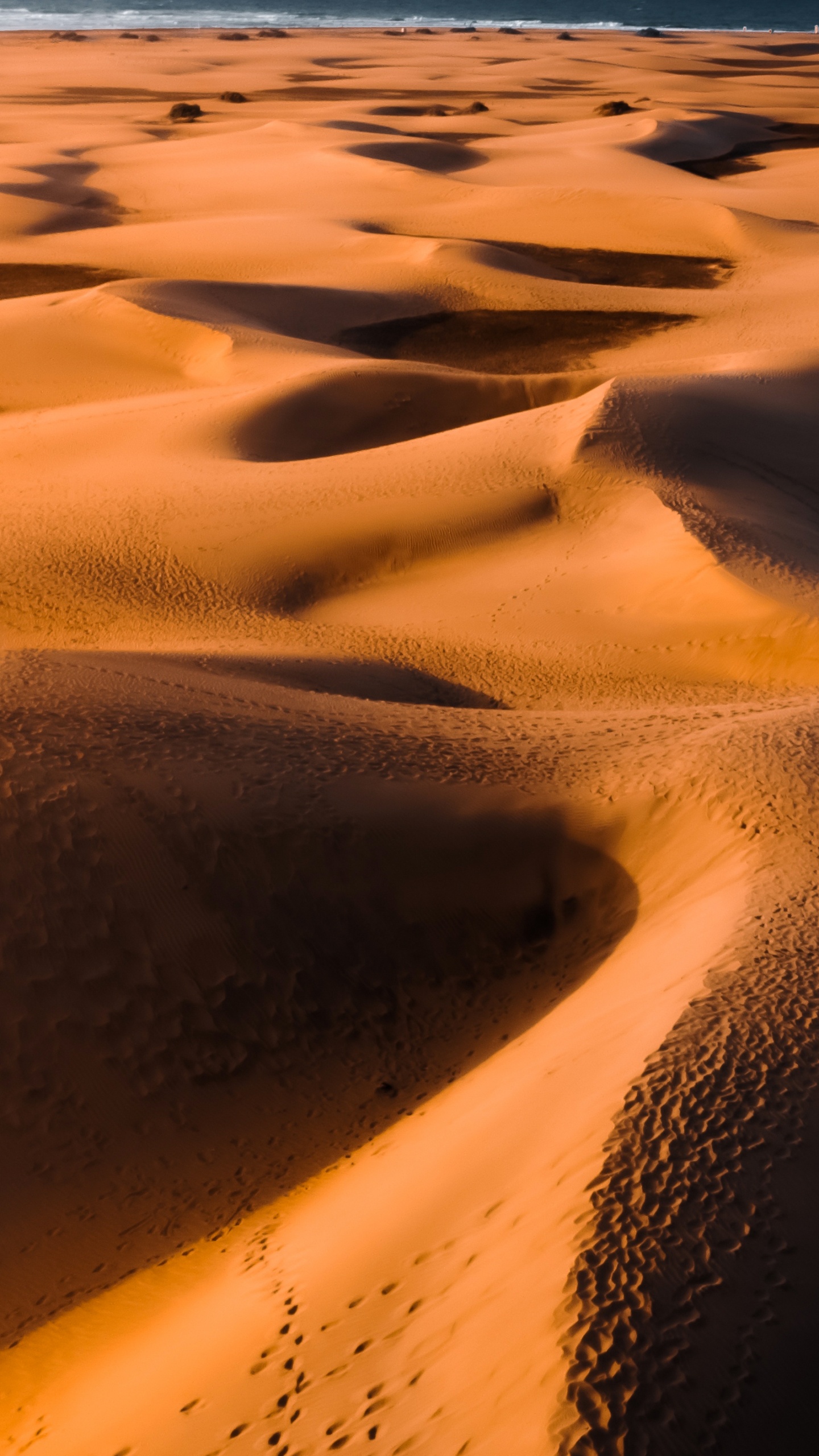 Erg, Singender Sand, Brown, Ökoregion, Licht. Wallpaper in 1440x2560 Resolution