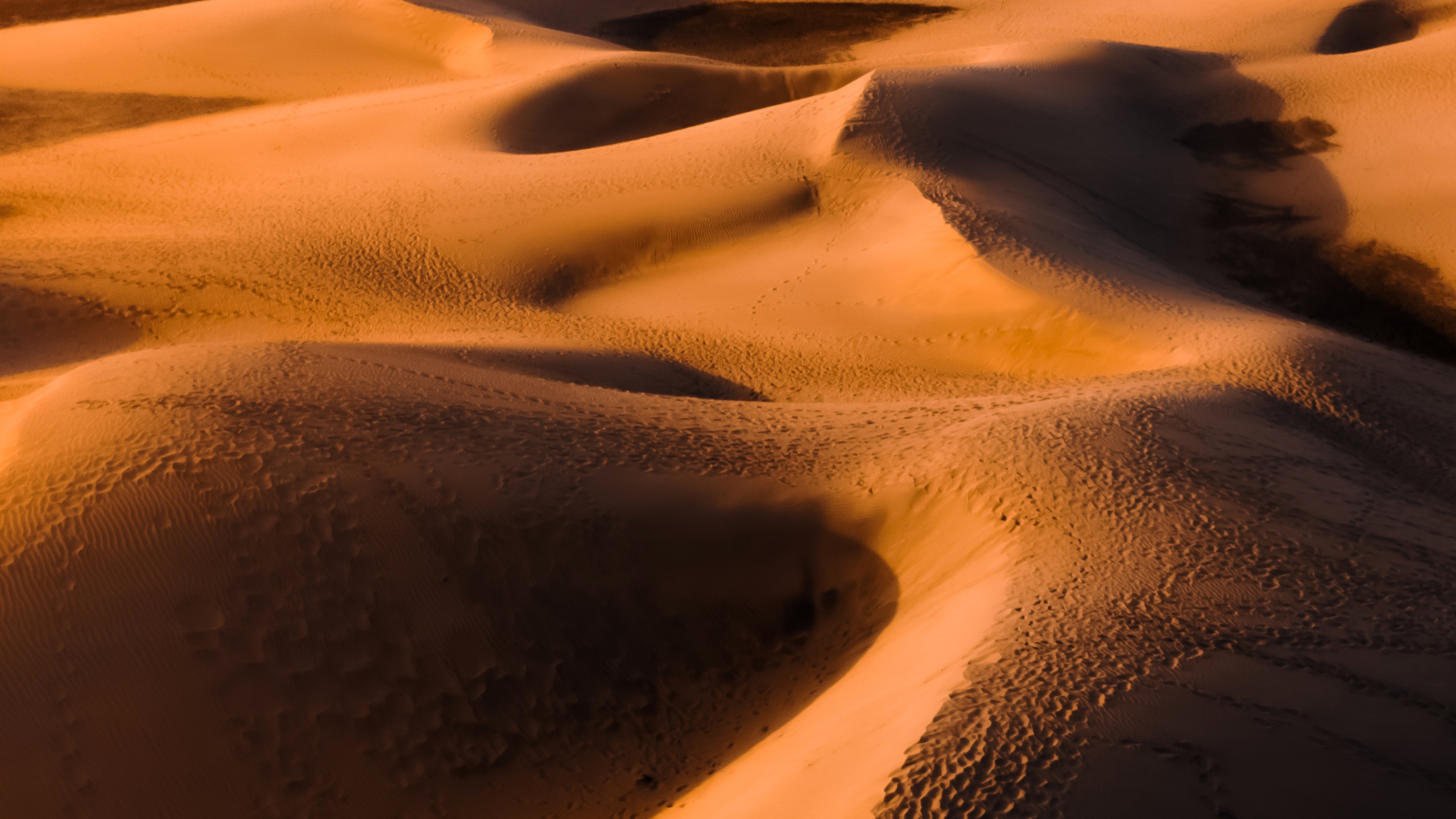 Erg, Singender Sand, Brown, Ökoregion, Licht. Wallpaper in 2560x1440 Resolution