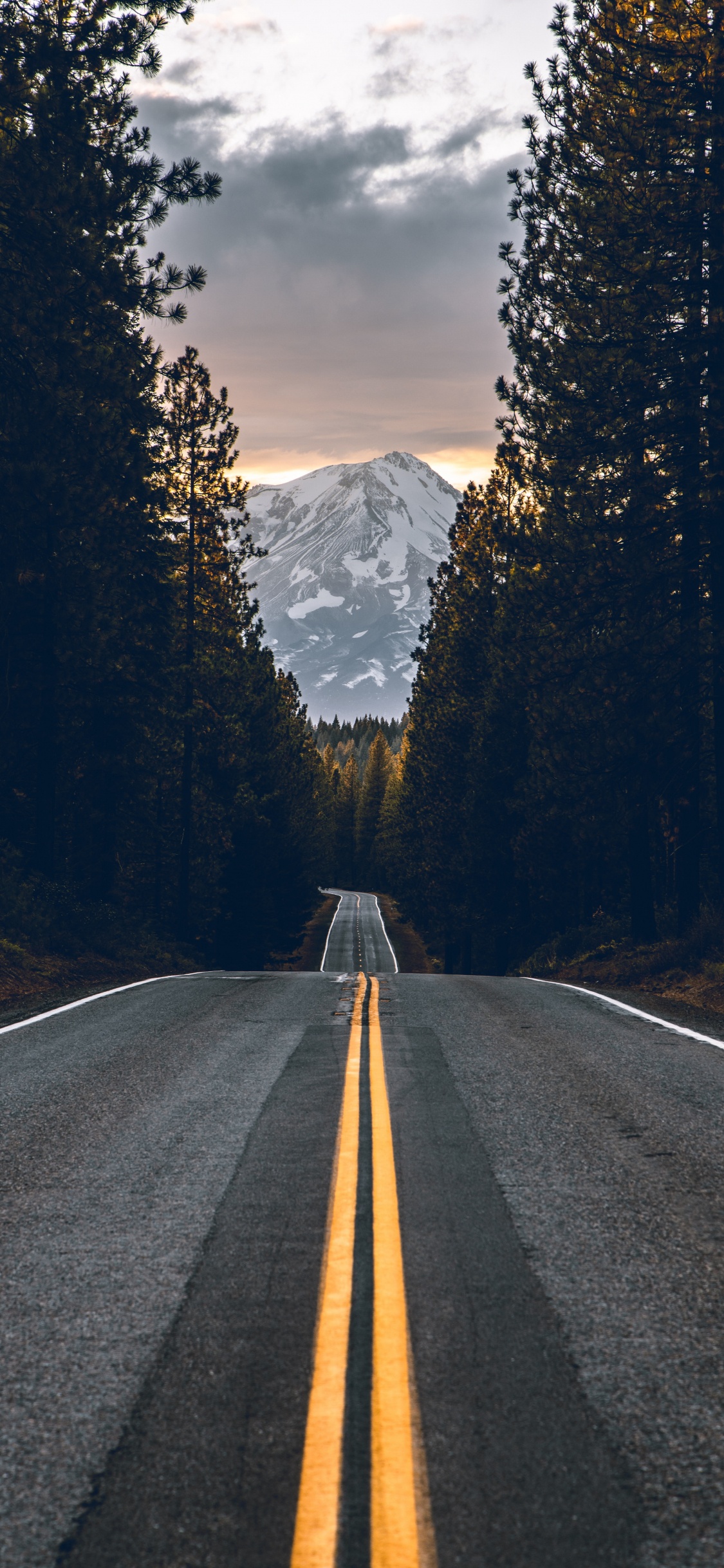 Road, Highway, Asphalt, Tree, Road Surface. Wallpaper in 1125x2436 Resolution
