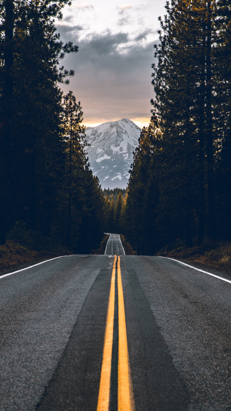 Road, Highway, Asphalt, Tree, Road Surface. Wallpaper in 750x1334 Resolution