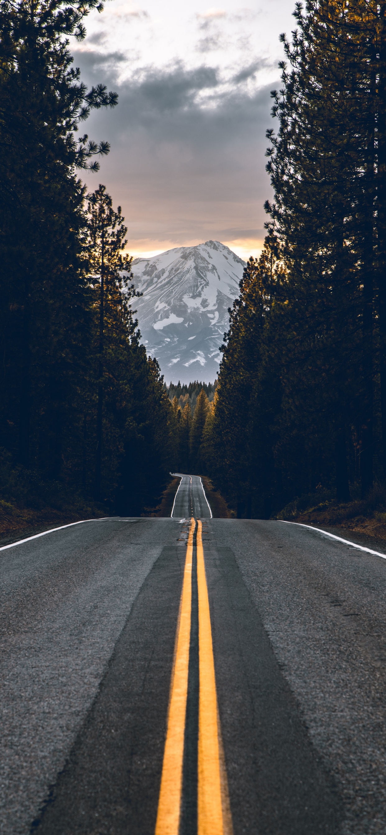 Road, Asphalt, Baum, Fahrbahn, Naturlandschaft. Wallpaper in 1242x2688 Resolution