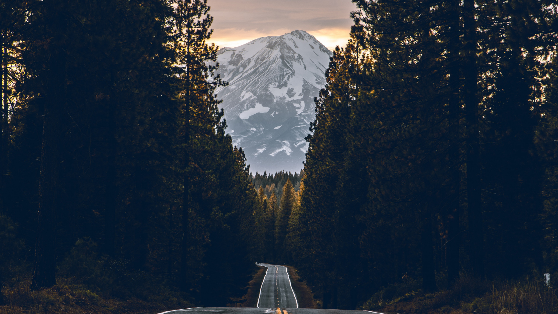 Road, Asphalt, Baum, Fahrbahn, Naturlandschaft. Wallpaper in 1920x1080 Resolution