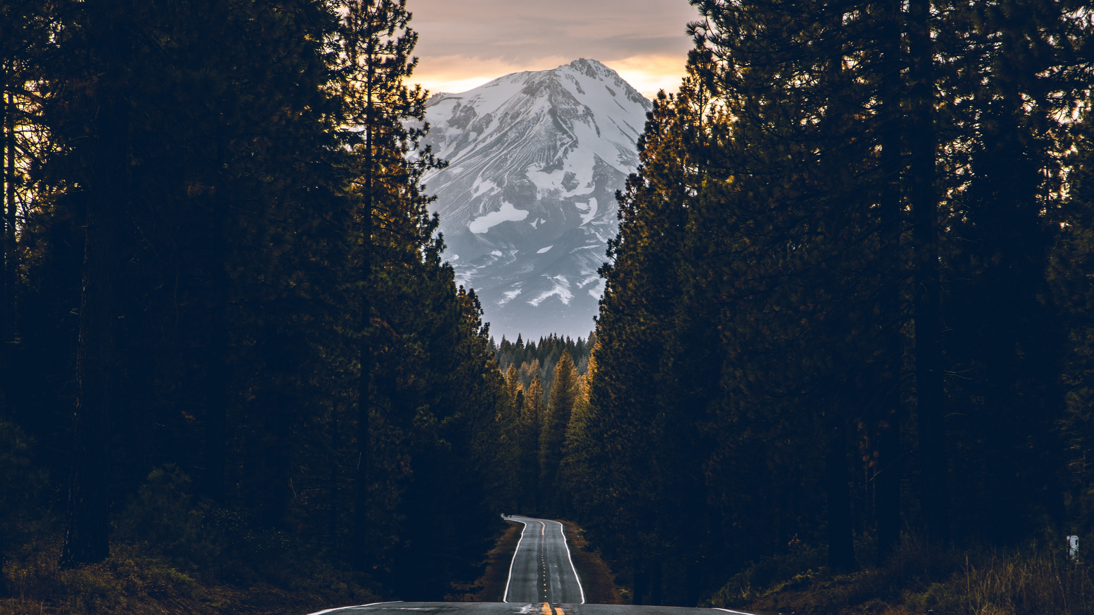 Road, Asphalt, Baum, Fahrbahn, Naturlandschaft. Wallpaper in 3840x2160 Resolution