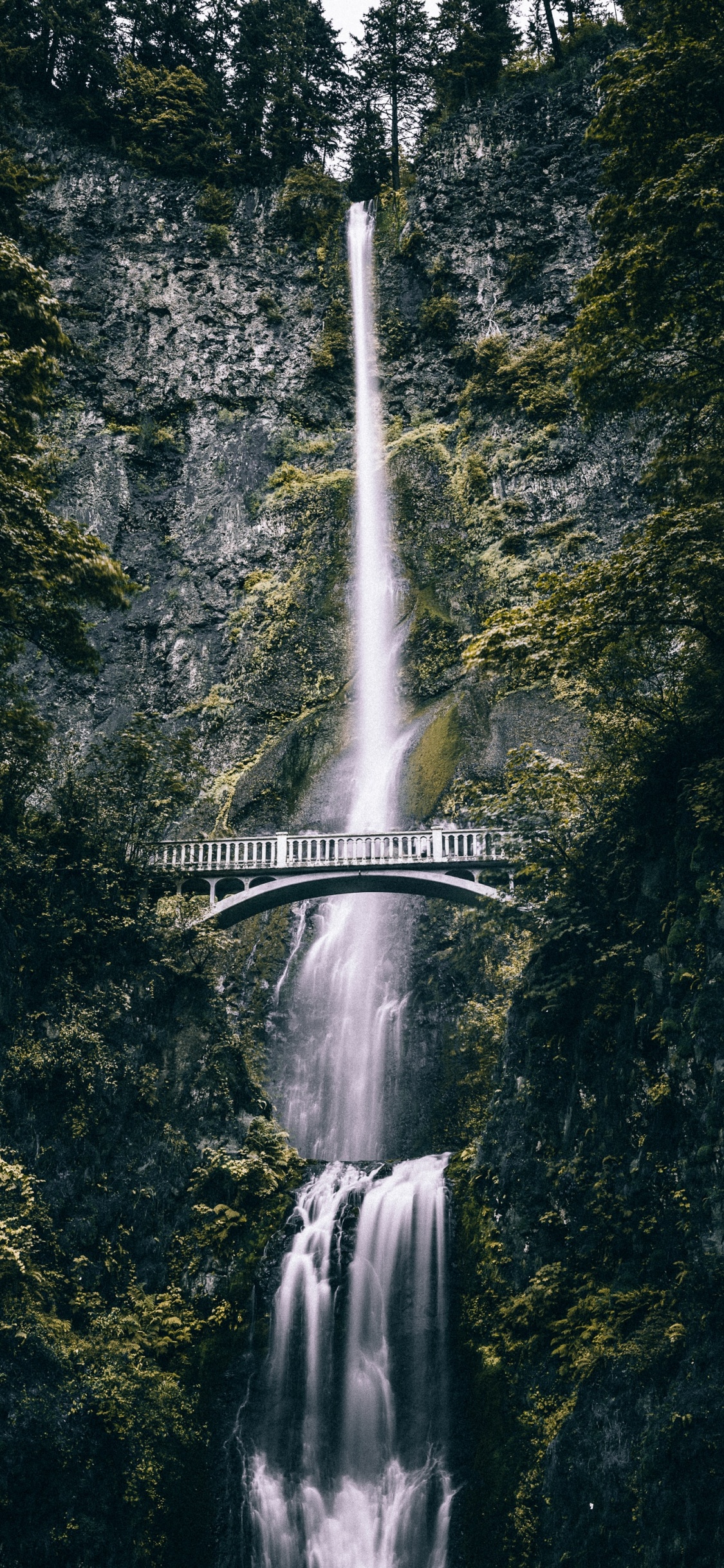 Waterfall, Multnomah Falls, Body of Water, Water, Water Resources. Wallpaper in 1125x2436 Resolution