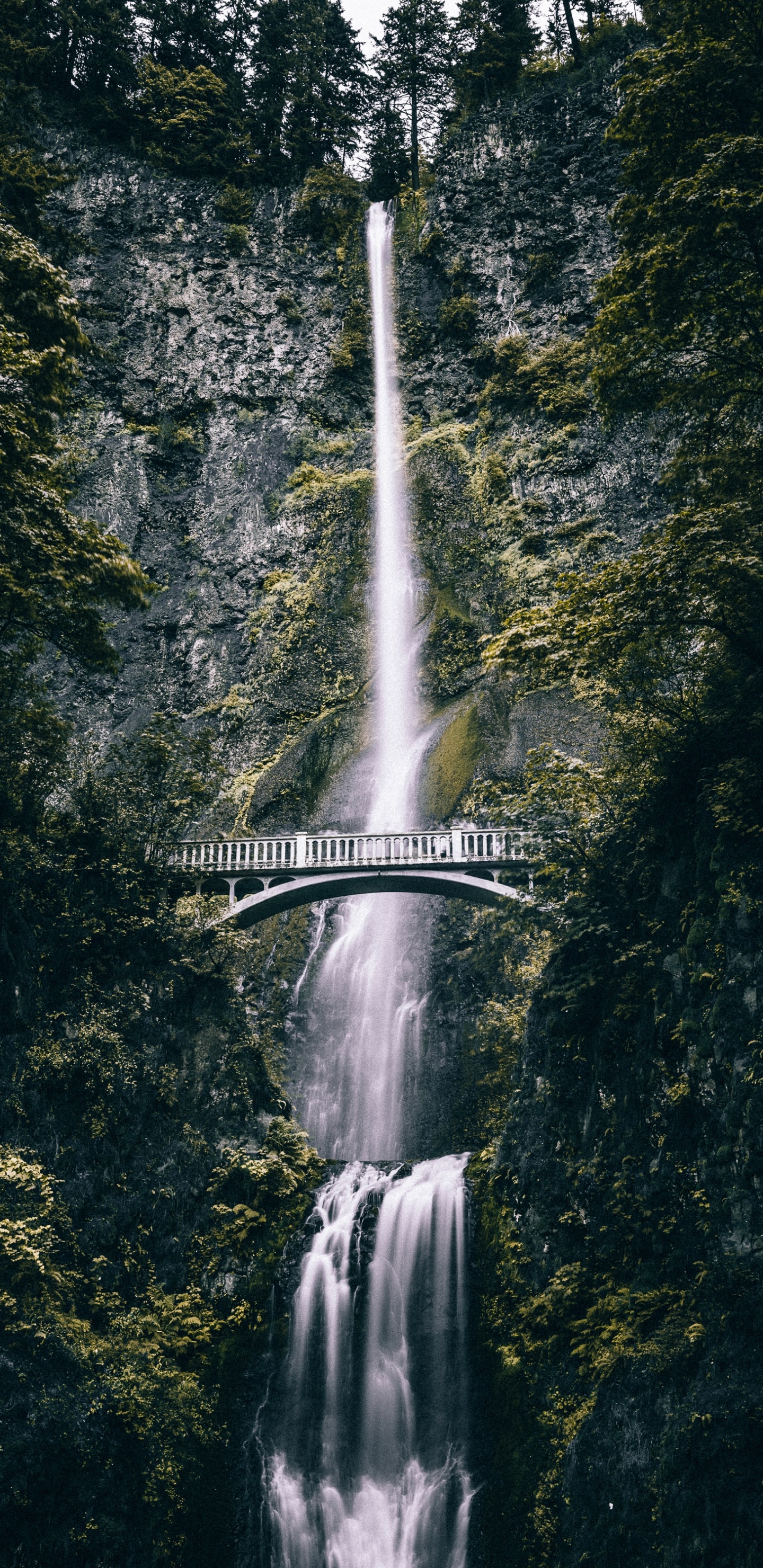 Waterfall, Multnomah Falls, Body of Water, Water, Water Resources. Wallpaper in 1440x2960 Resolution