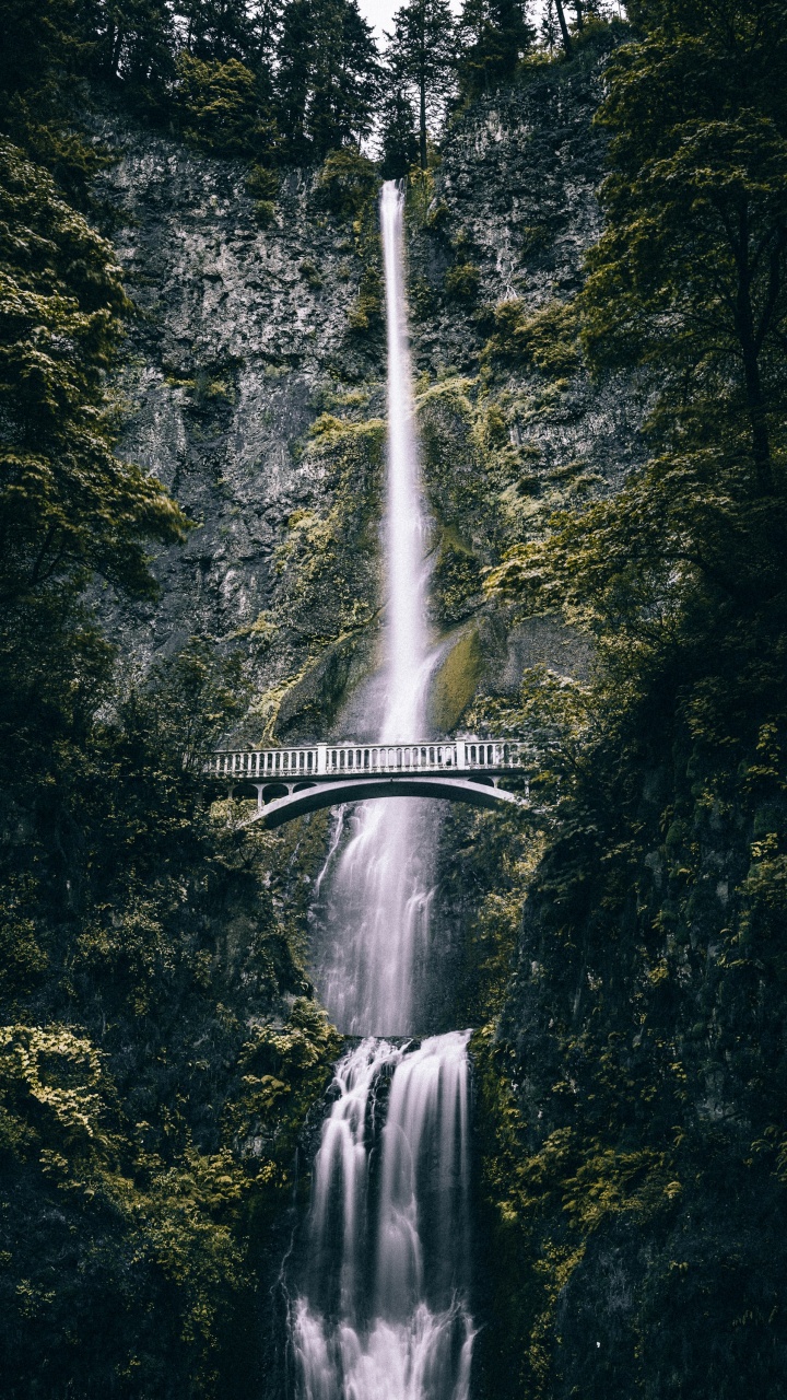 Waterfall, Multnomah Falls, Body of Water, Water, Water Resources. Wallpaper in 720x1280 Resolution