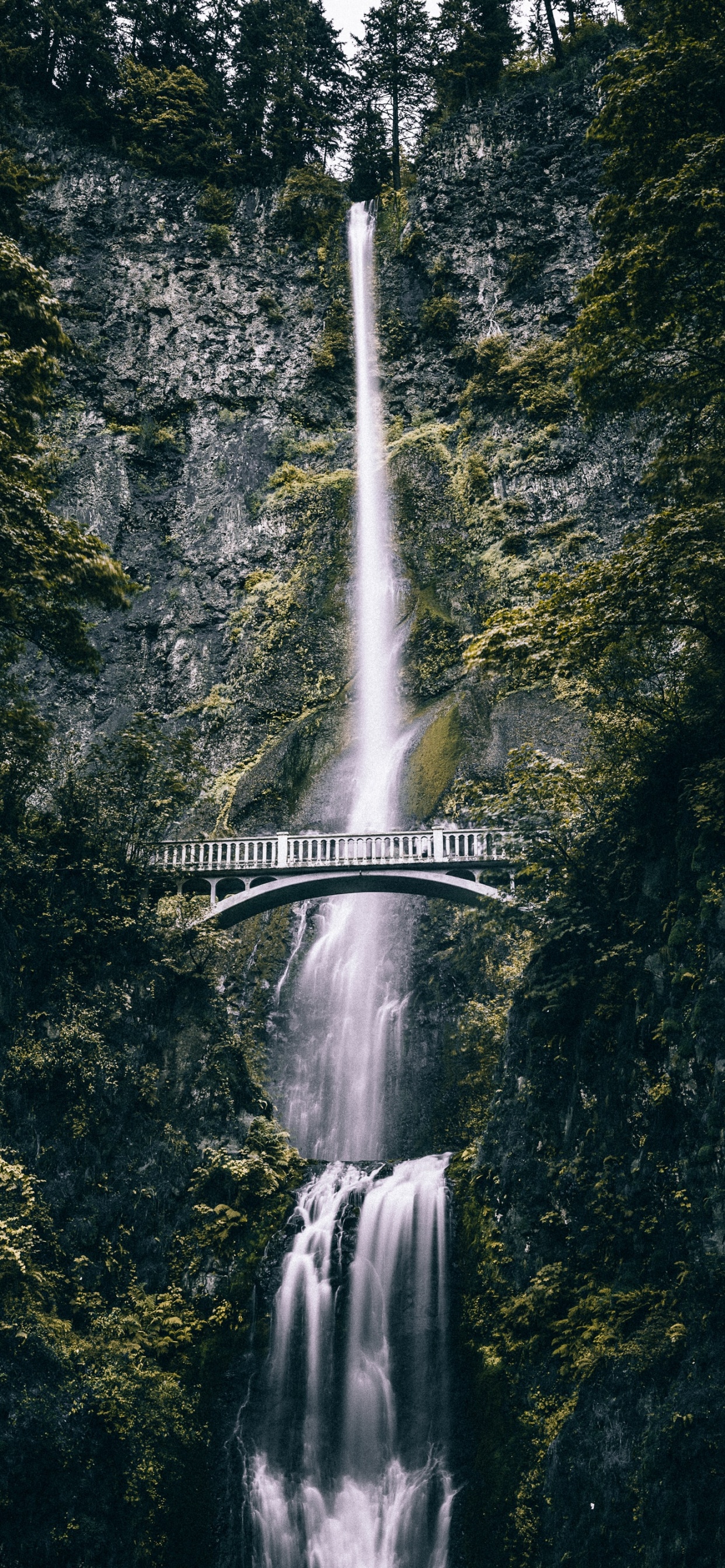 Wasserfall, Multnomah Falls, Gewässer, Wasser, Wasserressourcen. Wallpaper in 1242x2688 Resolution