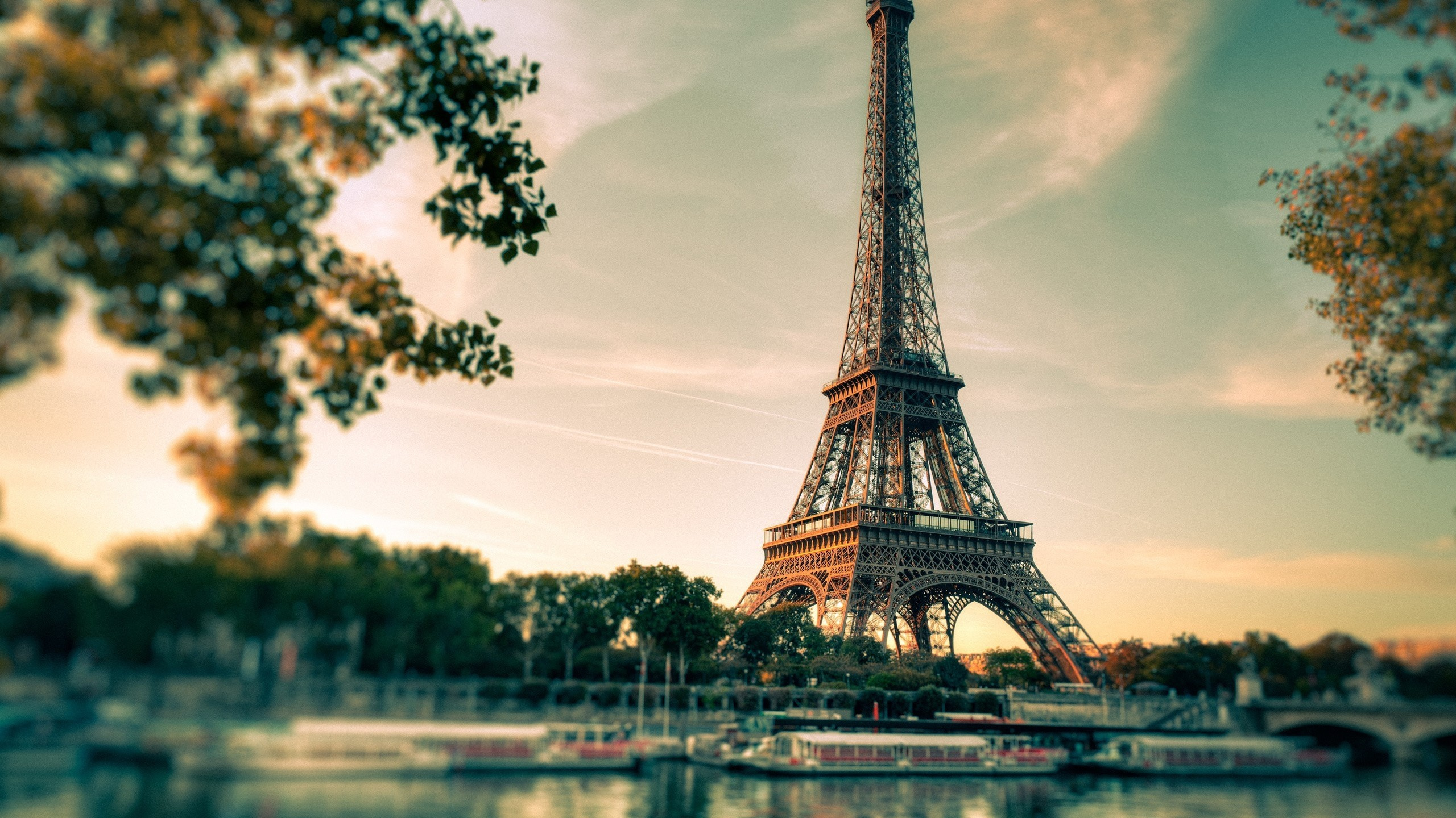 Eiffel Tower, Tower, Landmark, Tree, Cloud. Wallpaper in 2560x1440 Resolution
