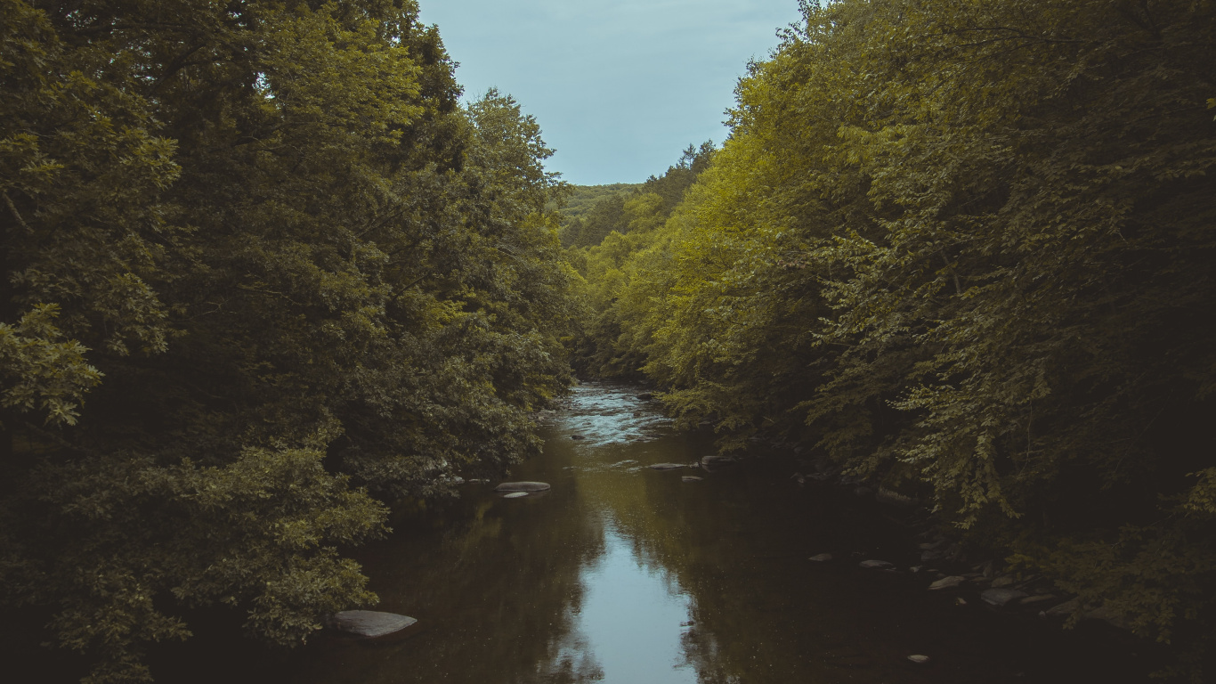 Baum, Himmel, Abend, Naturlandschaft, Wasserstraße. Wallpaper in 1366x768 Resolution