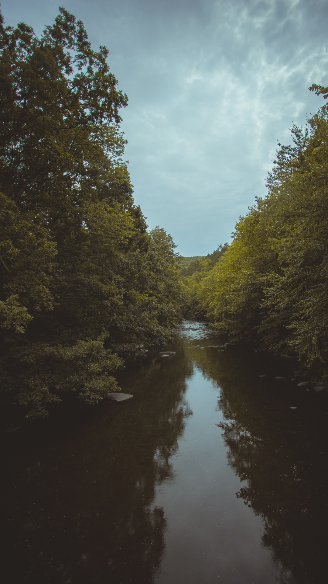 Noche, Paisaje Natural, la Vía Navegable, Río, Mañana. Wallpaper in 1080x1920 Resolution