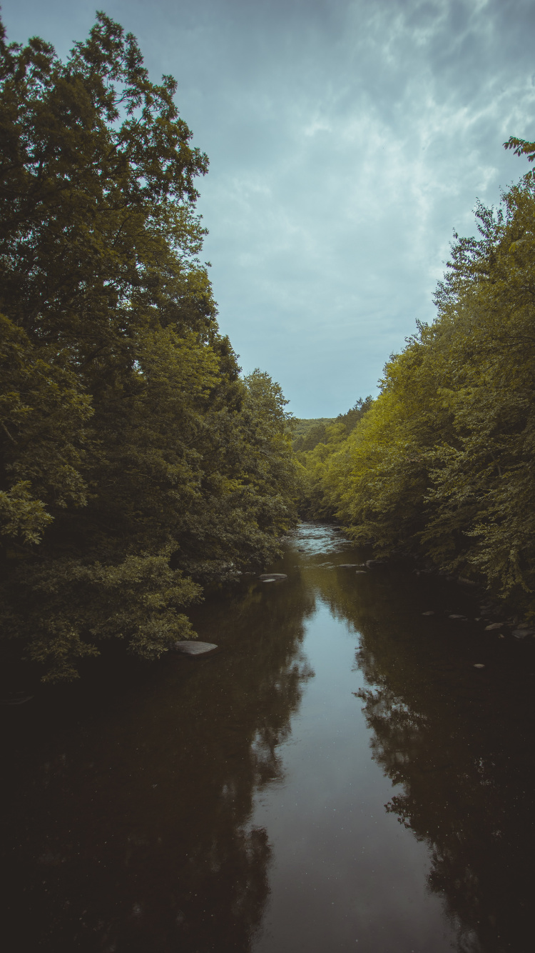 Noche, Paisaje Natural, la Vía Navegable, Río, Mañana. Wallpaper in 750x1334 Resolution