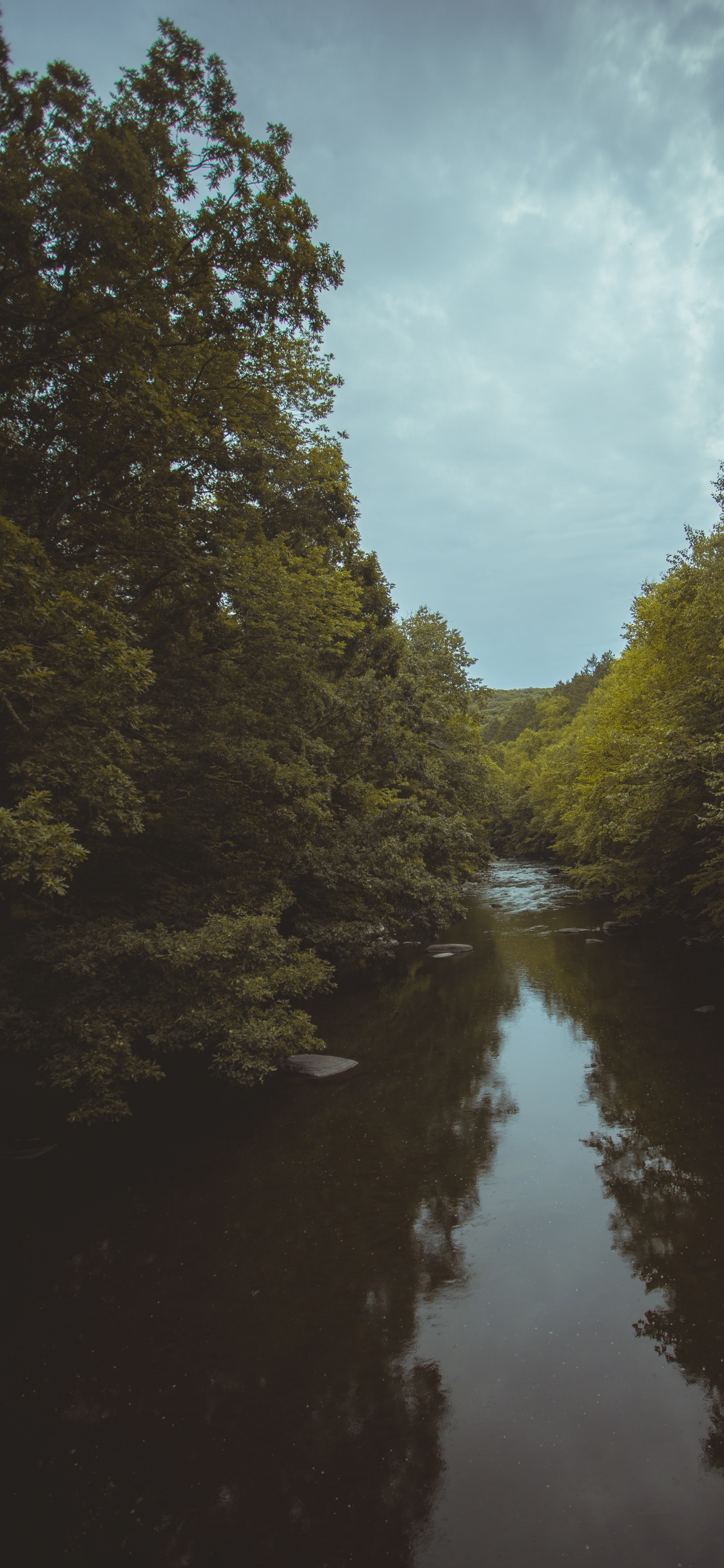 Tree, Sky, Evening, Natural Landscape, Waterway. Wallpaper in 1242x2688 Resolution
