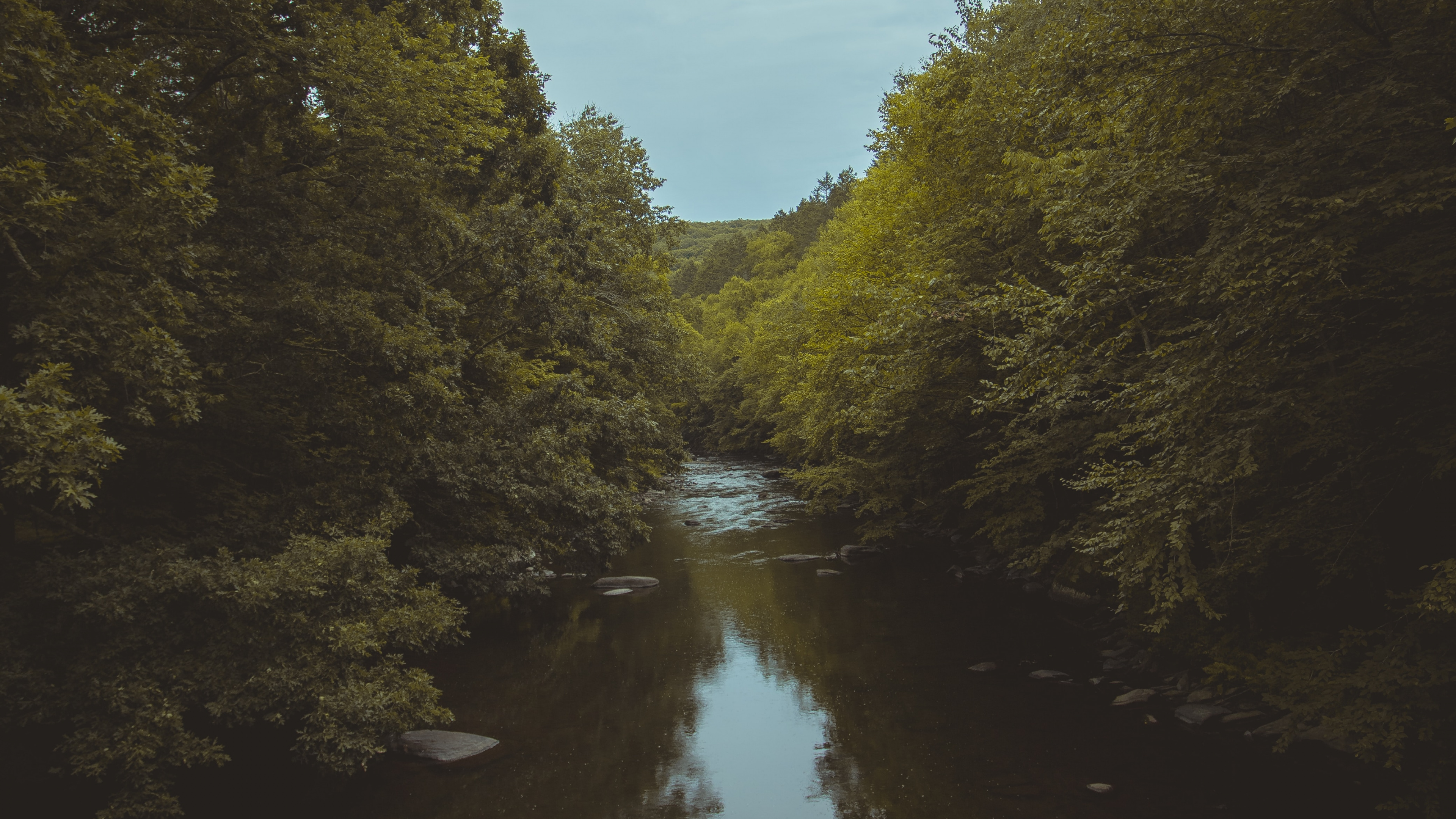 Tree, Sky, Evening, Natural Landscape, Waterway. Wallpaper in 3840x2160 Resolution