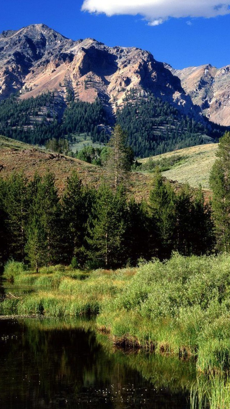 Green Trees Near Lake and Mountain During Daytime. Wallpaper in 750x1334 Resolution