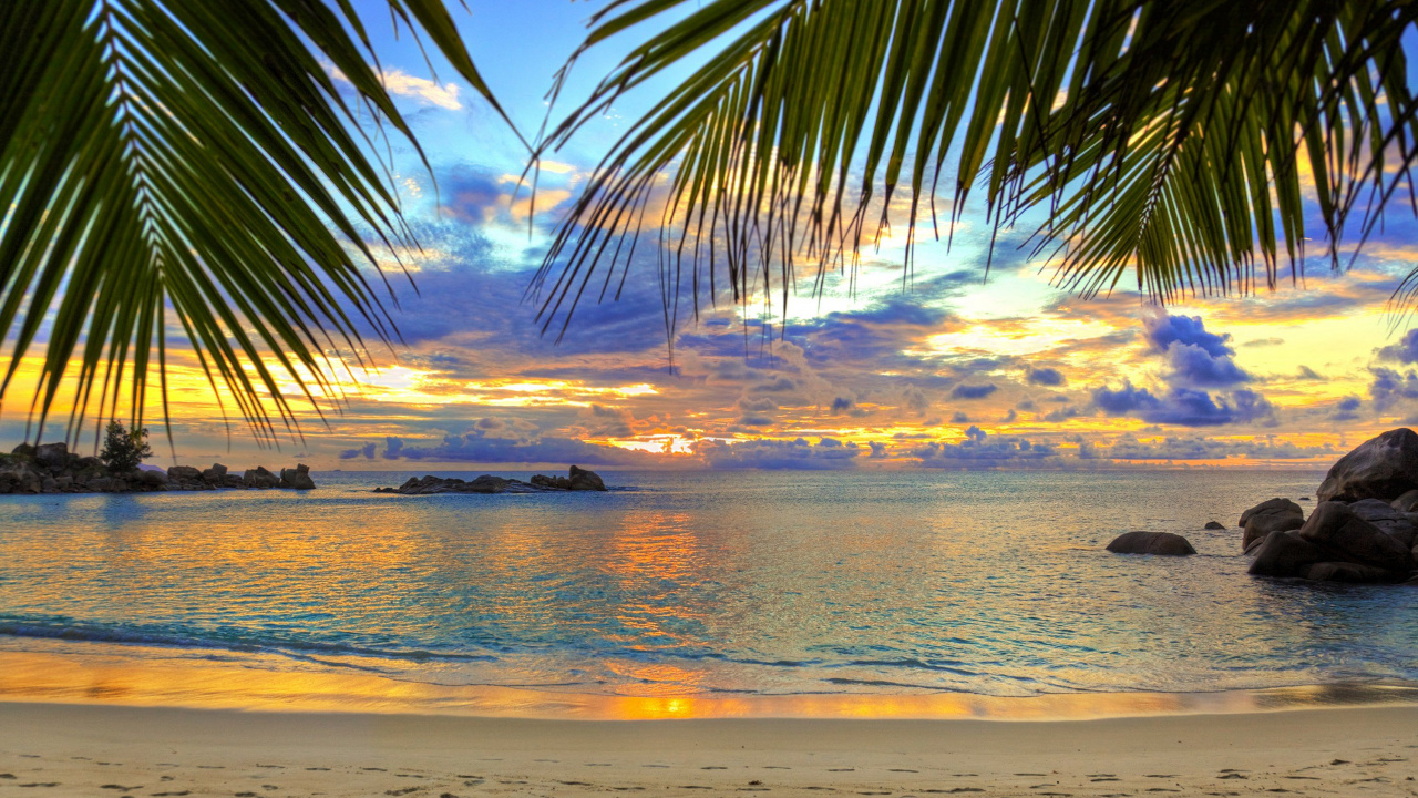 Silhouette Der Palme am Meer Bei Sonnenuntergang Sea. Wallpaper in 1280x720 Resolution