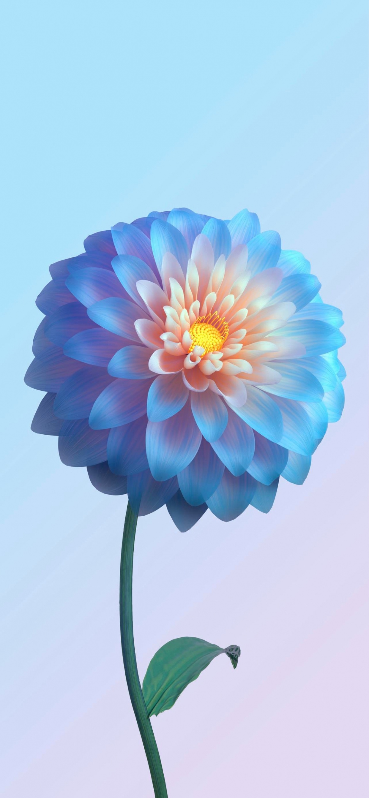 Vivant, Vivo, Apple, Pétale, Dahlia. Wallpaper in 1242x2688 Resolution