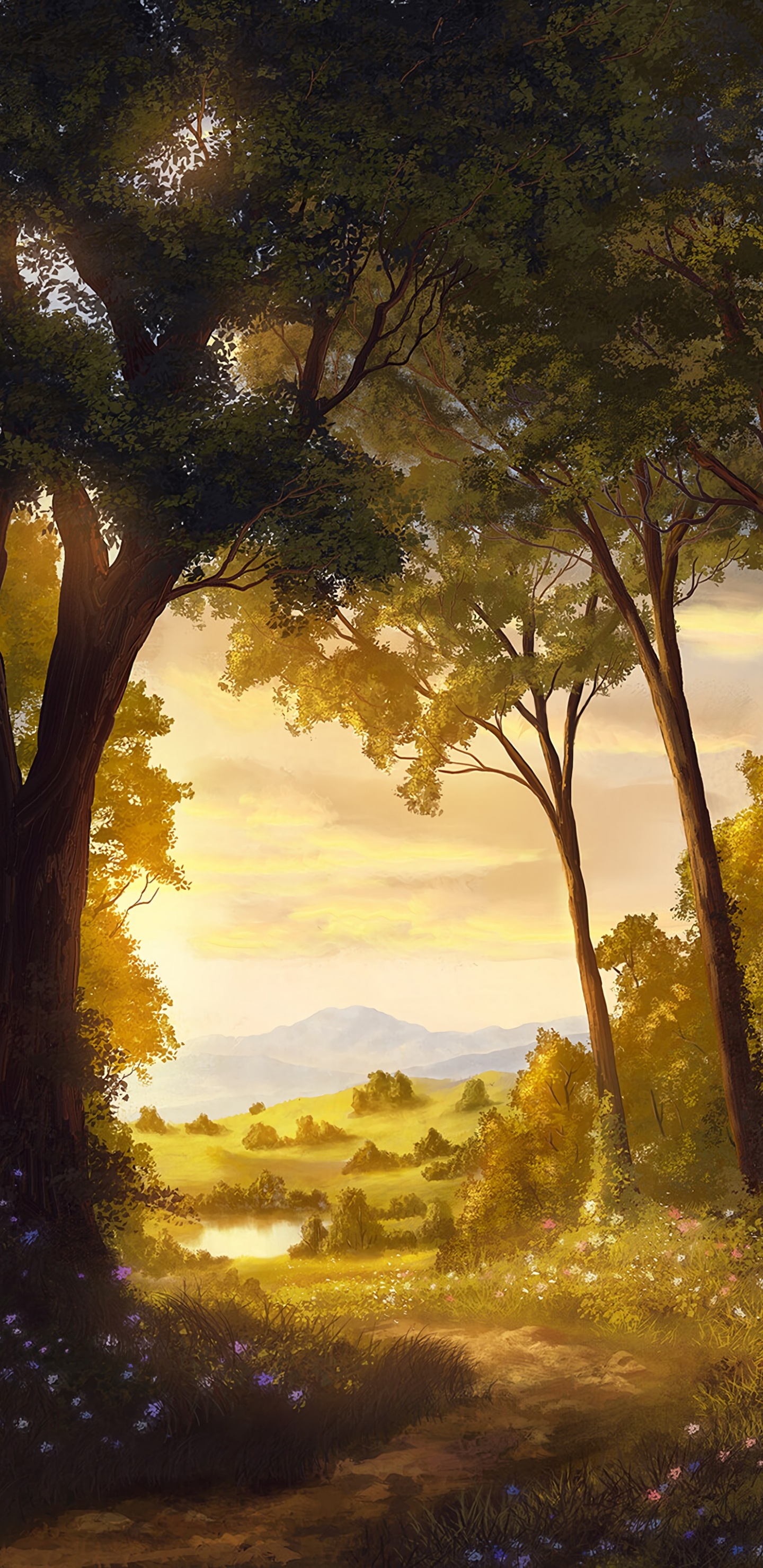 Naturlandschaft, Natur, Baum, Malerei, Sonnenlicht. Wallpaper in 1440x2960 Resolution
