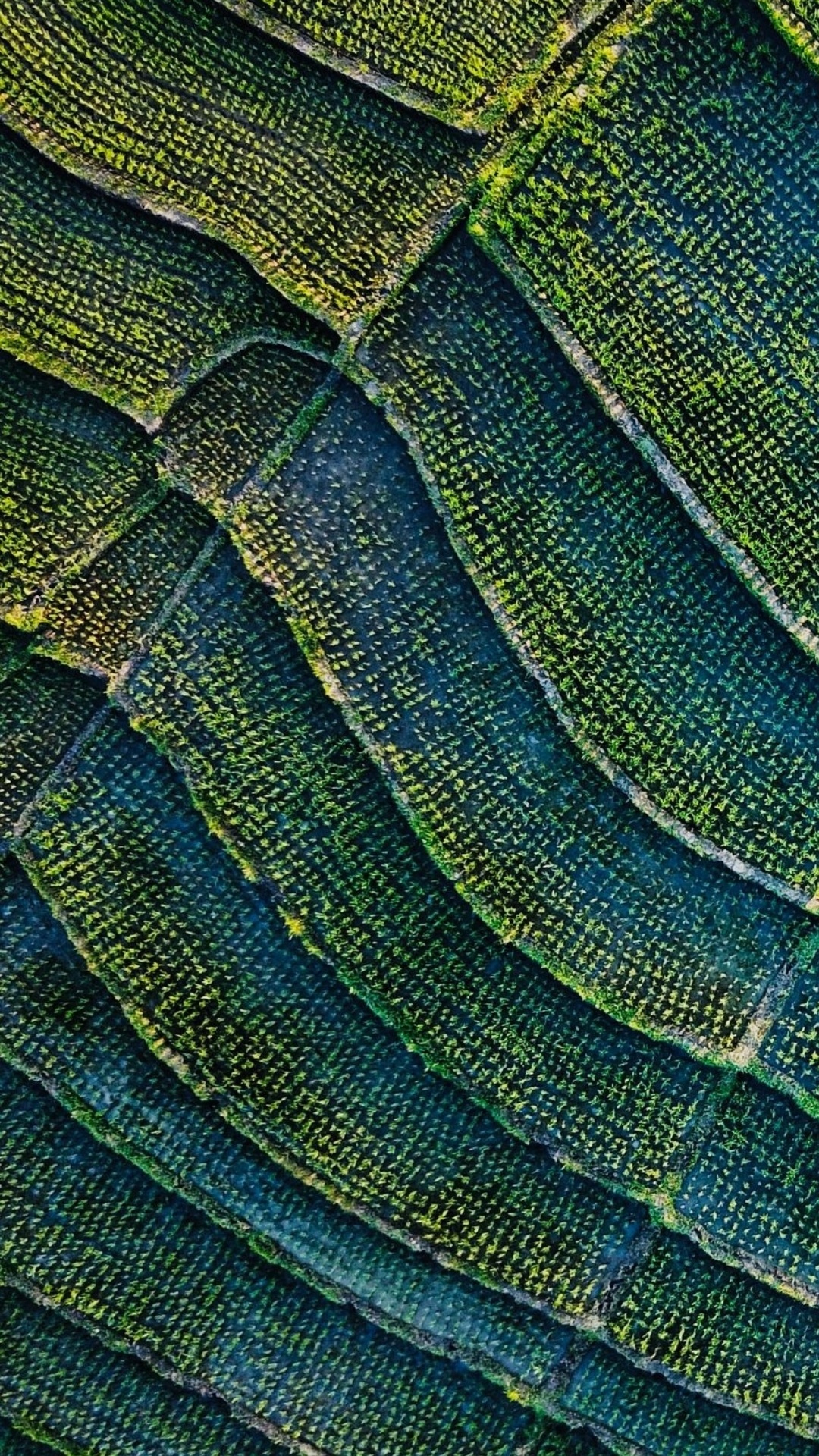 Feuille, Azure, Aqua, de Teintes et de Nuances, Laine. Wallpaper in 1080x1920 Resolution