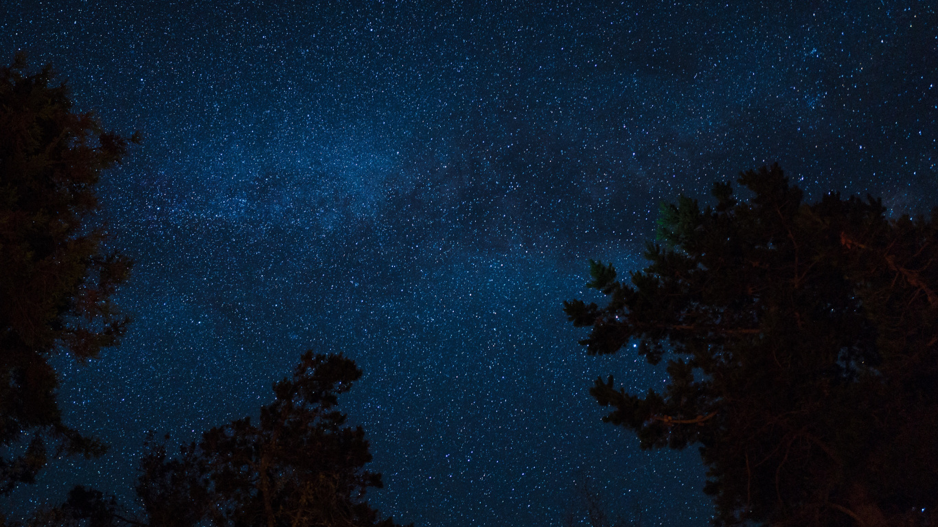 Arbres Verts Sous Ciel Bleu Pendant la Nuit. Wallpaper in 1366x768 Resolution