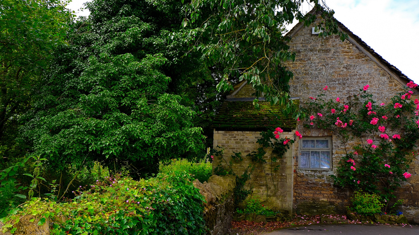 Green Trees Beside Brown Concrete House During Daytime. Wallpaper in 1366x768 Resolution