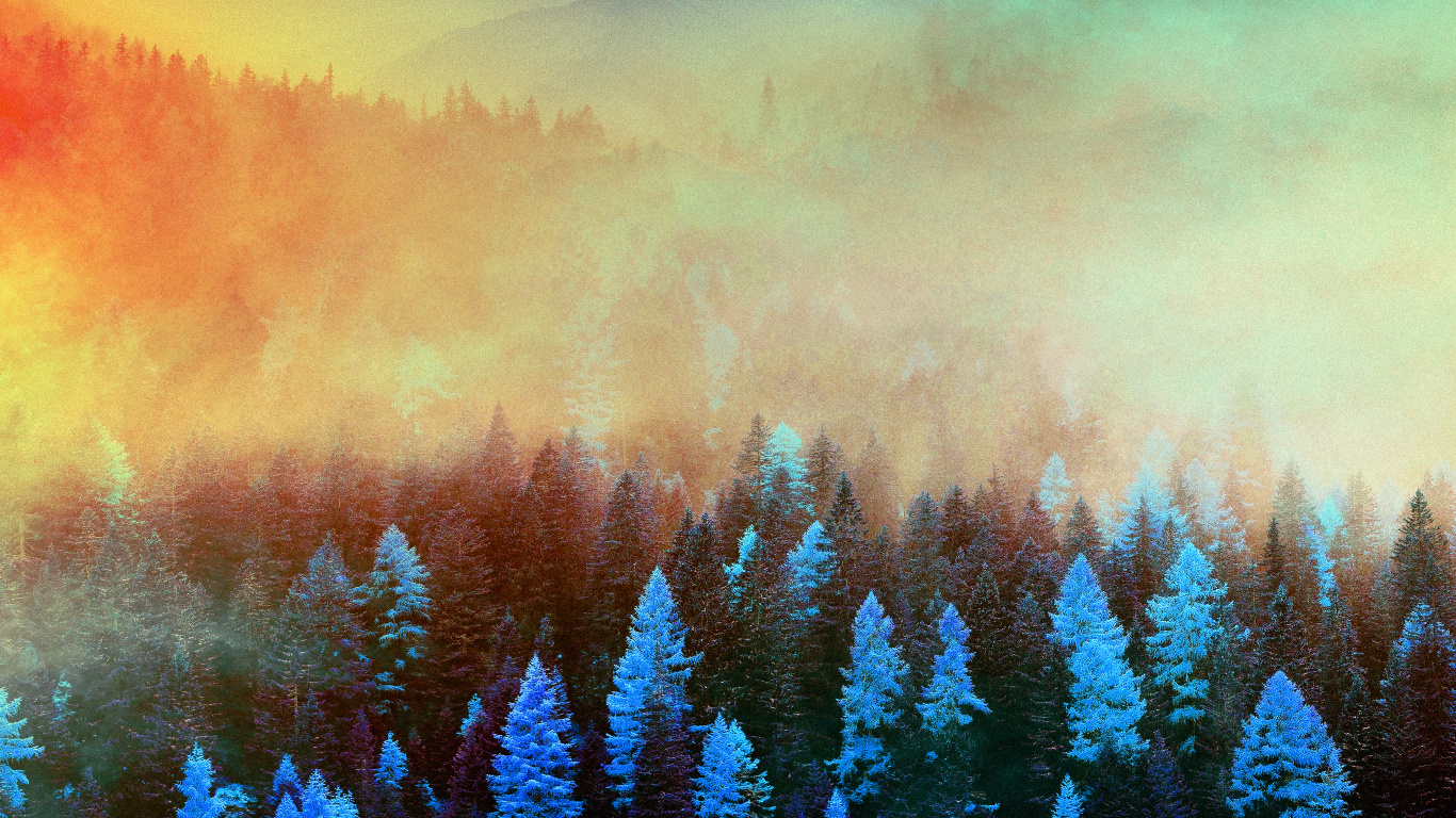 Herbst Sonnenaufgang, Herbst, Winter, Natur, Baum. Wallpaper in 1366x768 Resolution