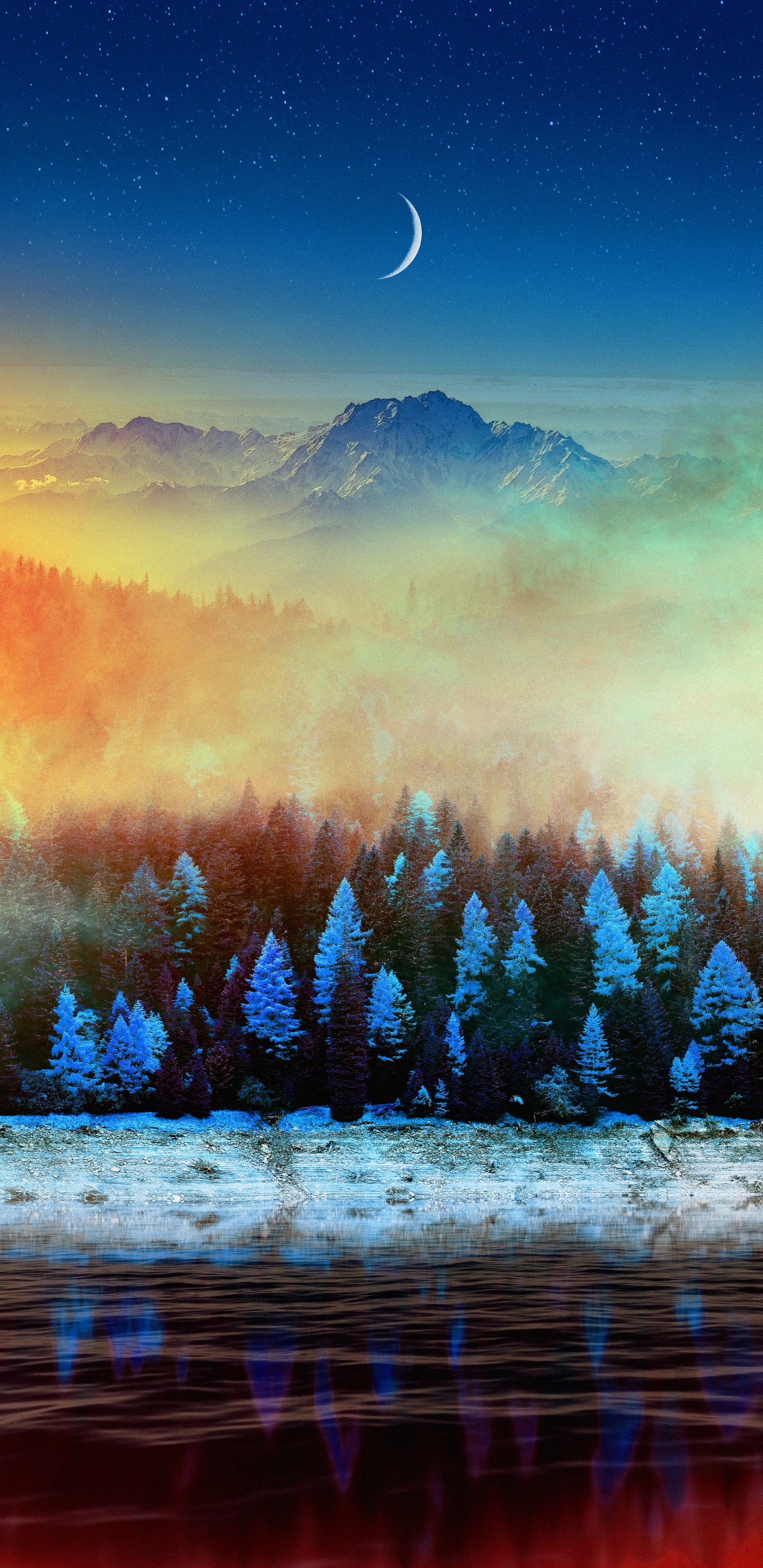 Lever de Soleil D'automne, Hiver, Nature, Atmosphère, la Journée. Wallpaper in 1440x2960 Resolution