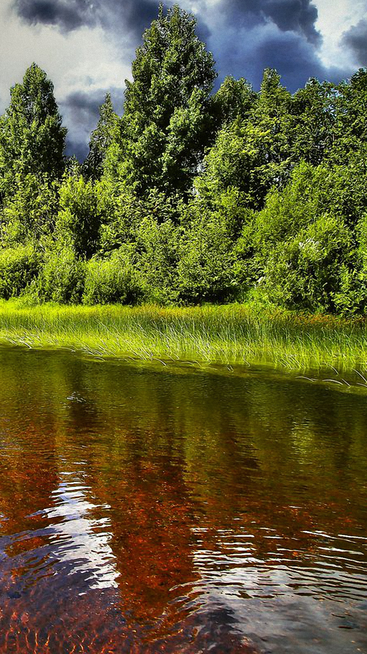 Arbres Verts à Côté de la Rivière Sous un Ciel Nuageux Pendant la Journée. Wallpaper in 750x1334 Resolution