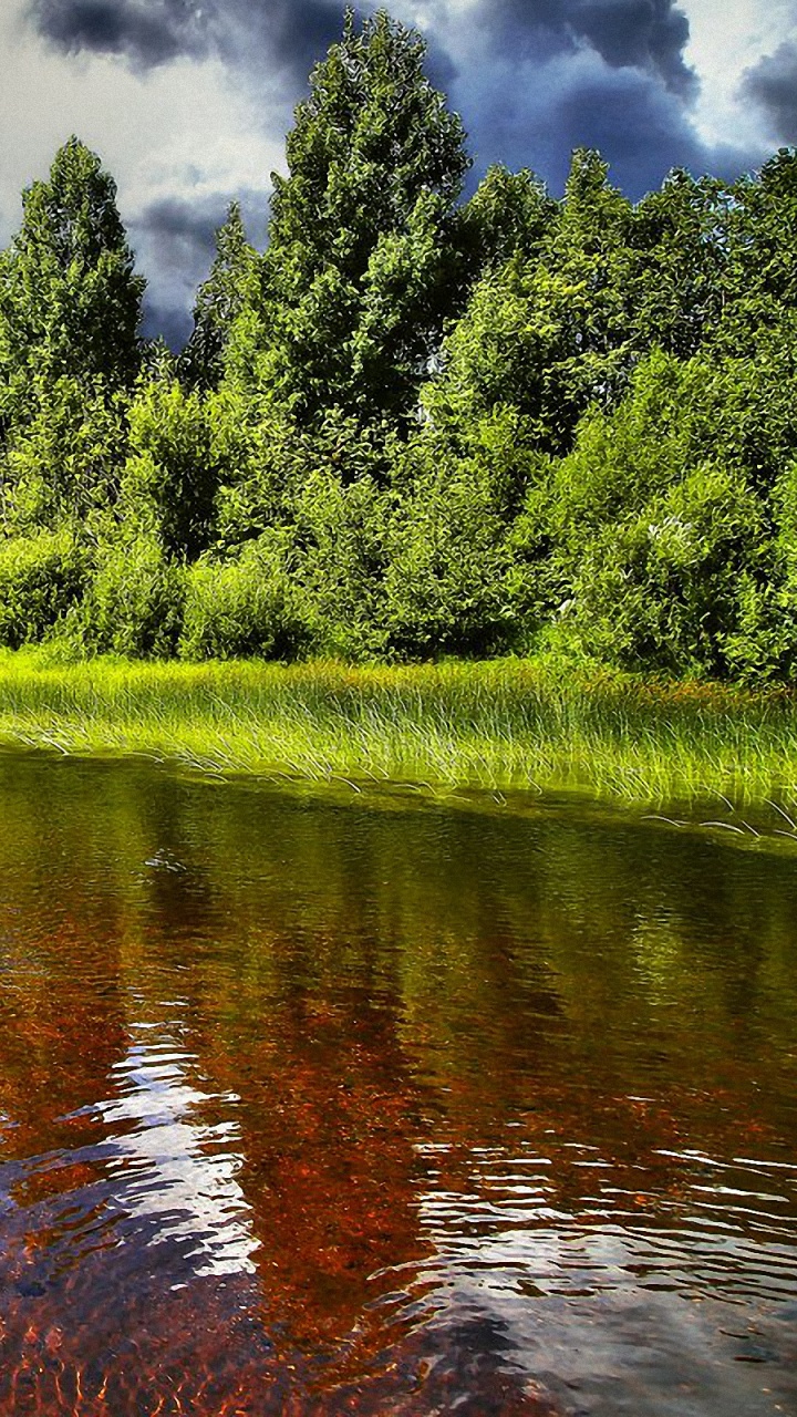 Grüne Bäume Neben Dem Fluss Unter Bewölktem Himmel Tagsüber. Wallpaper in 720x1280 Resolution