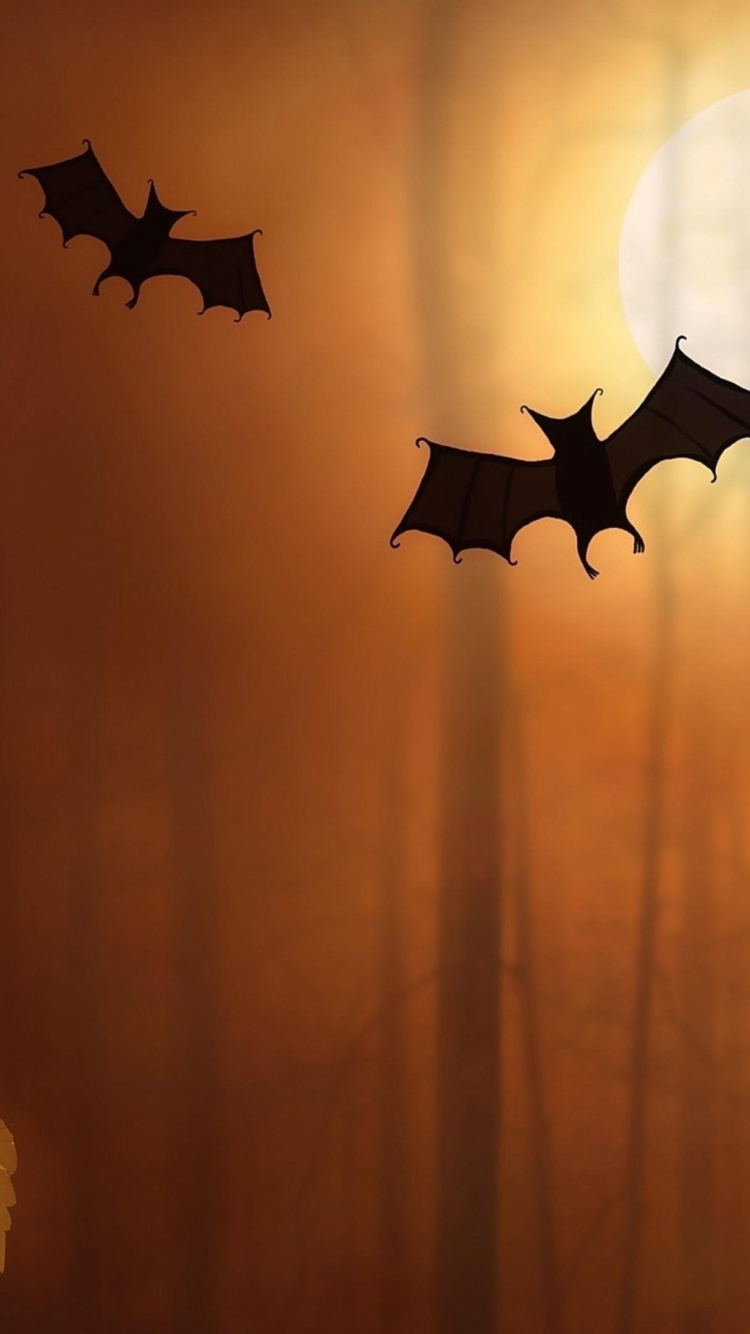 Schwarzer Stern Und Mondillustration. Wallpaper in 750x1334 Resolution