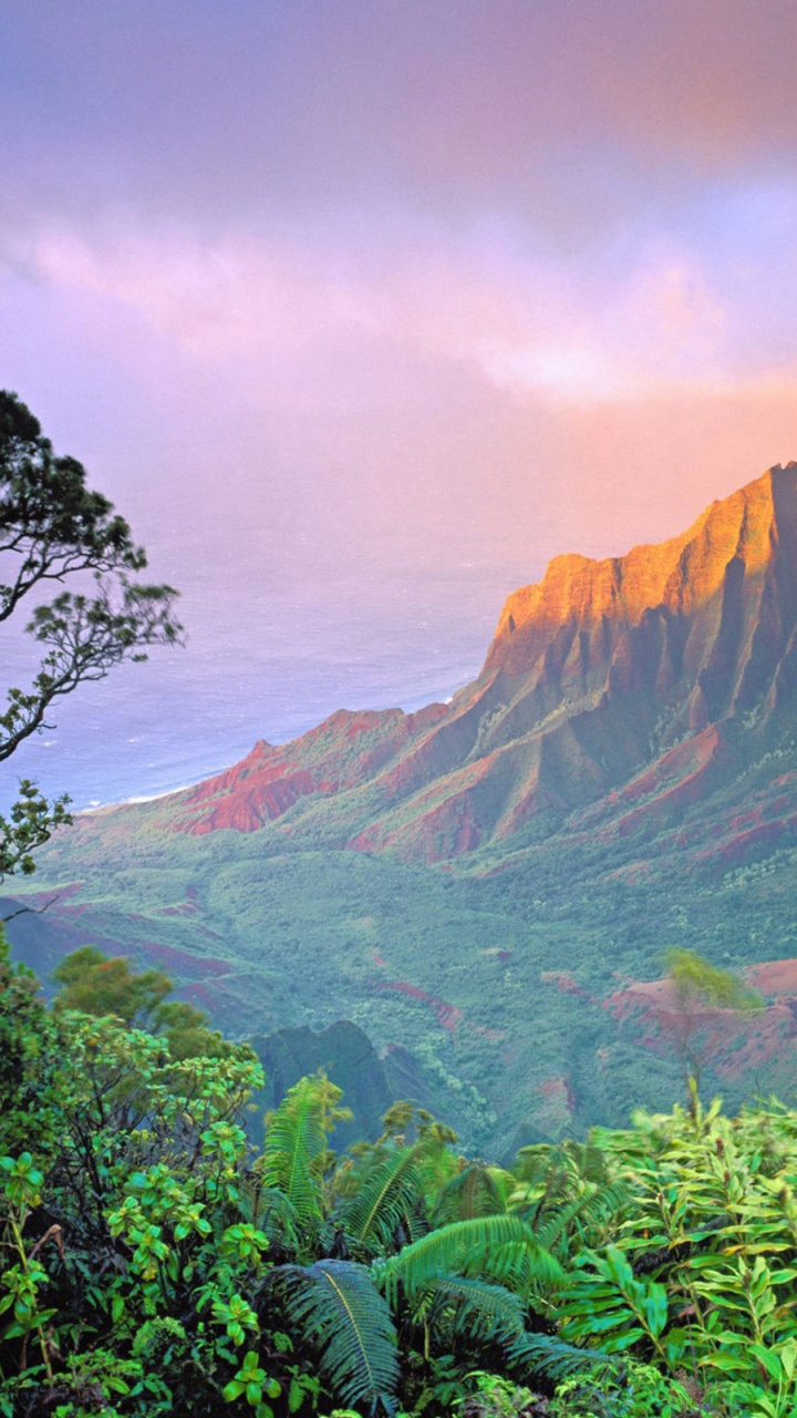 Grüne Bäume in Der Nähe Des Braunen Berges Tagsüber Mountain. Wallpaper in 720x1280 Resolution
