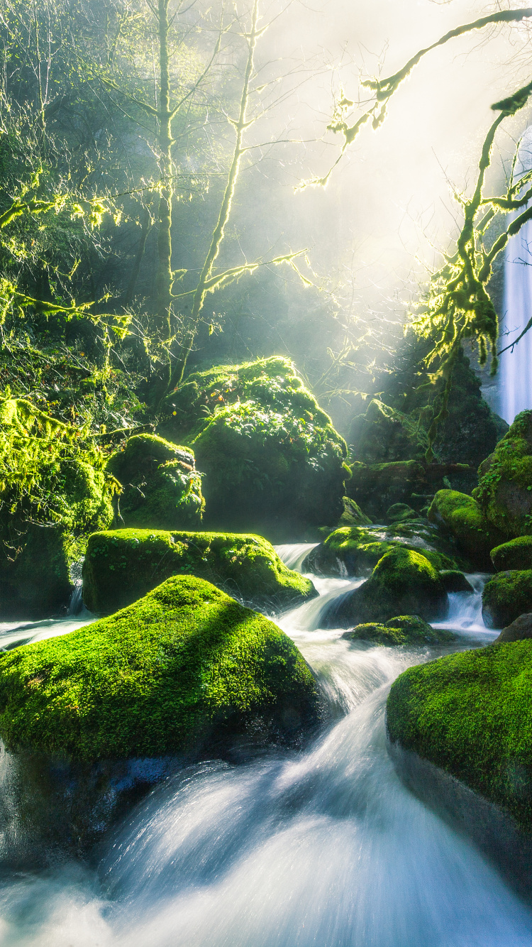 Gr, Columbia River, Wasser, Fluss, Stream. Wallpaper in 750x1334 Resolution