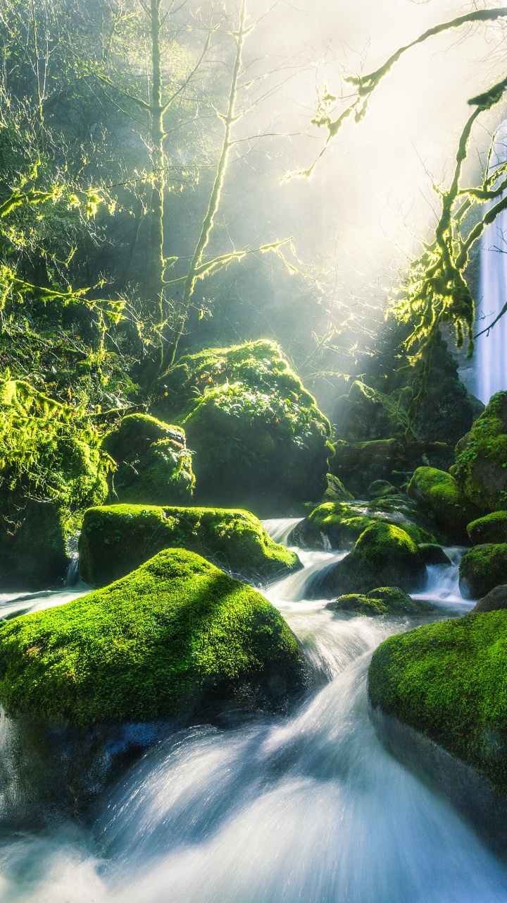 Green, Columbia River, Water, River, Stream. Wallpaper in 720x1280 Resolution