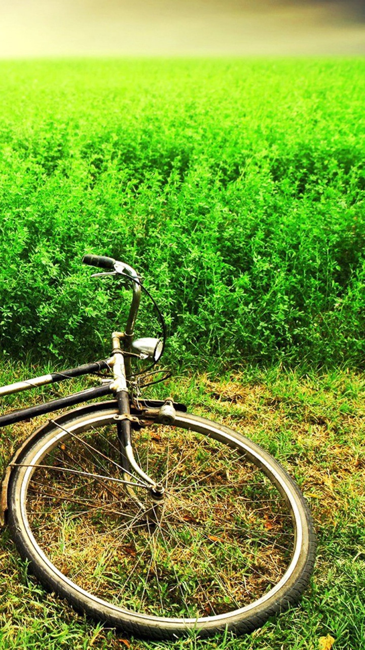 Schwarzes Und Braunes Citybike Auf Grüner Wiese Tagsüber. Wallpaper in 720x1280 Resolution