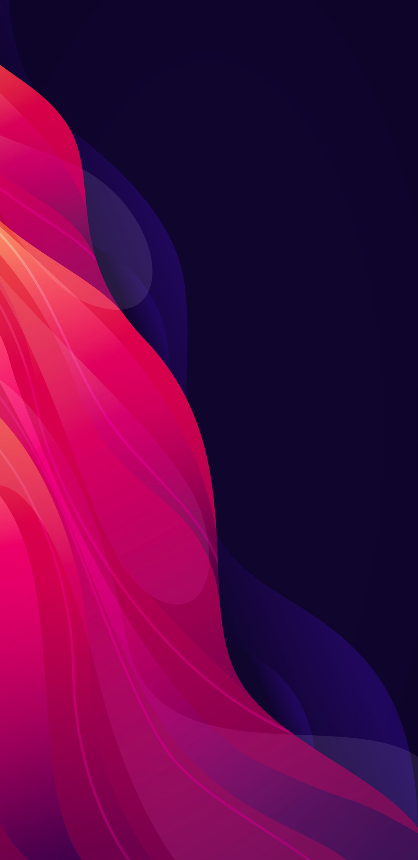 Petal, Purple, Violet, Magenta, Tints and Shades. Wallpaper in 1440x2960 Resolution