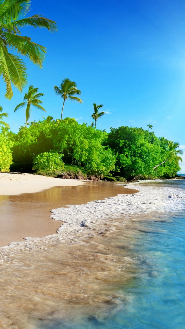 Strand, Hawaii-Strände, Wasser, Wasserressourcen, Tageszeit. Wallpaper in 720x1280 Resolution