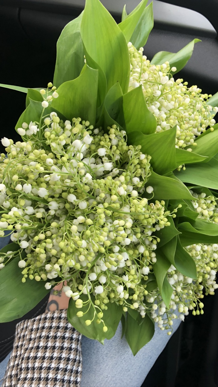 Flower Bouquet, Floral Design, Flower, Flowering Plant, Bouquet. Wallpaper in 720x1280 Resolution