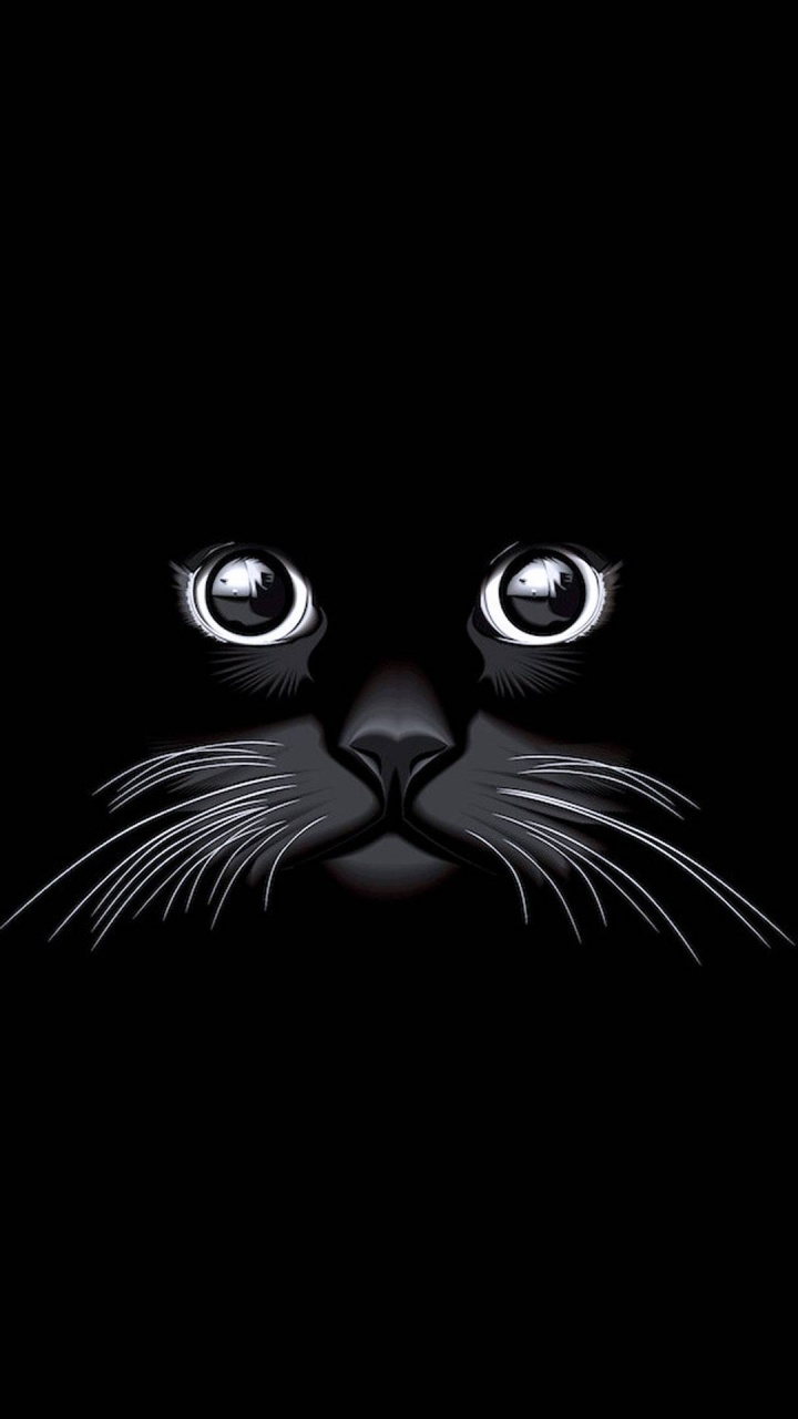 Cat Eyes Black, Black Cat, Persian Cat, Dog, Litter Mat. Wallpaper in 720x1280 Resolution