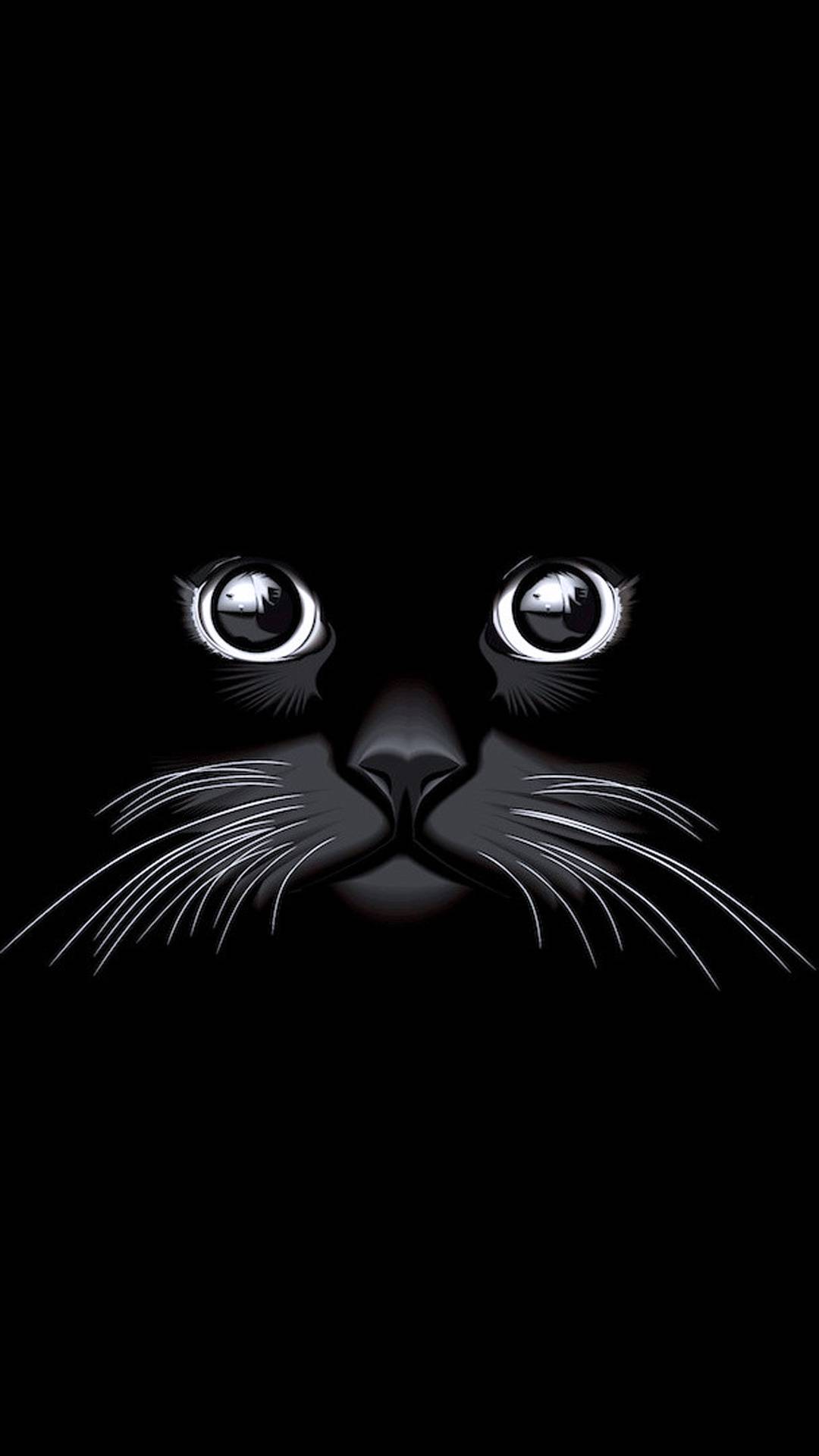 Yeux de Chat Noirs, Chat Noir, Chat Persan, Chien, Tapis de Litière. Wallpaper in 1080x1920 Resolution