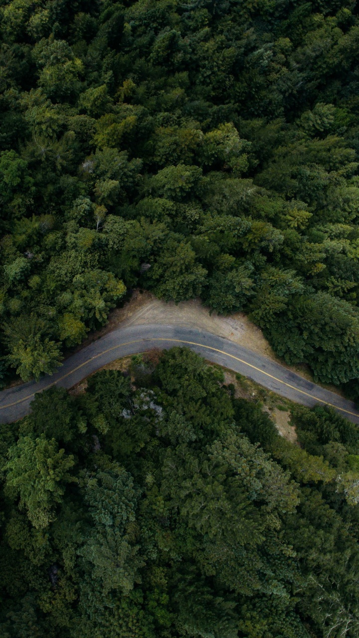 Kio Hin, Plant, Natural Landscape, Watercourse, Tree. Wallpaper in 720x1280 Resolution