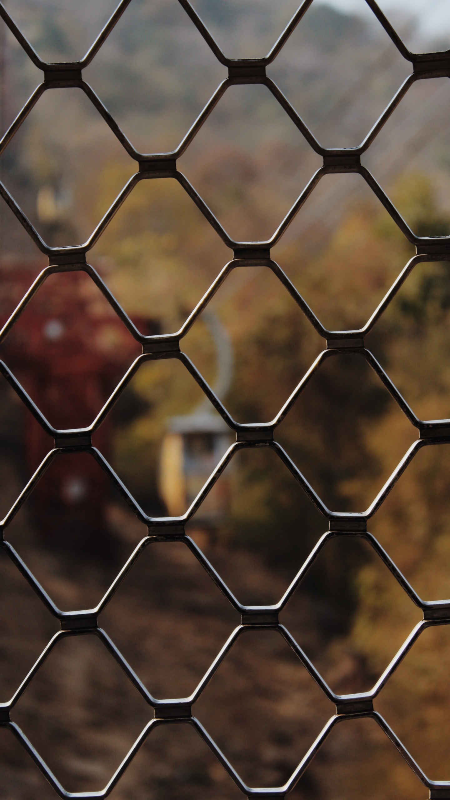 栅栏, 丝围栏, 对称, 瓷砖, 光 壁纸 1440x2560 允许